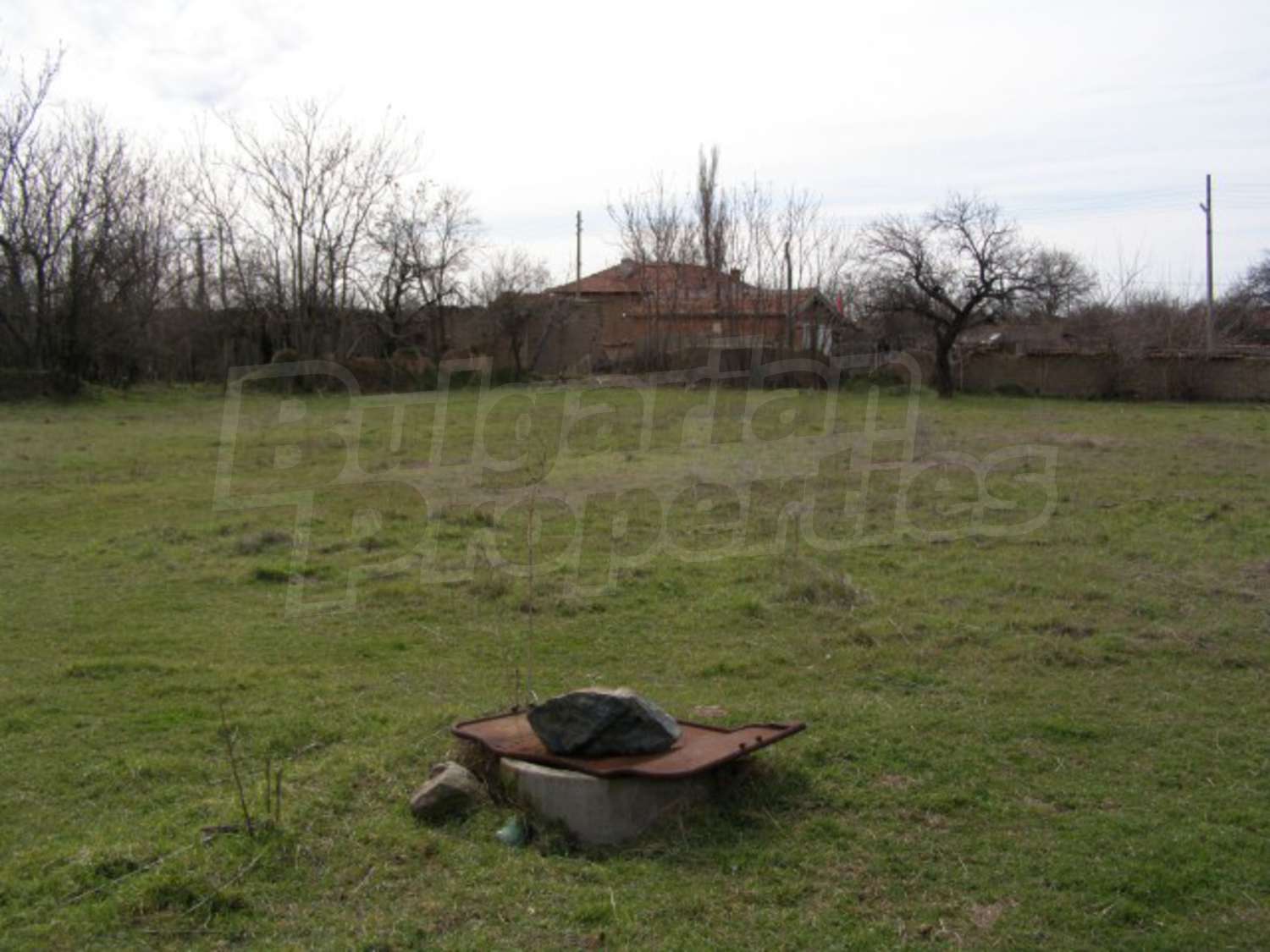 Gallery Picture 18