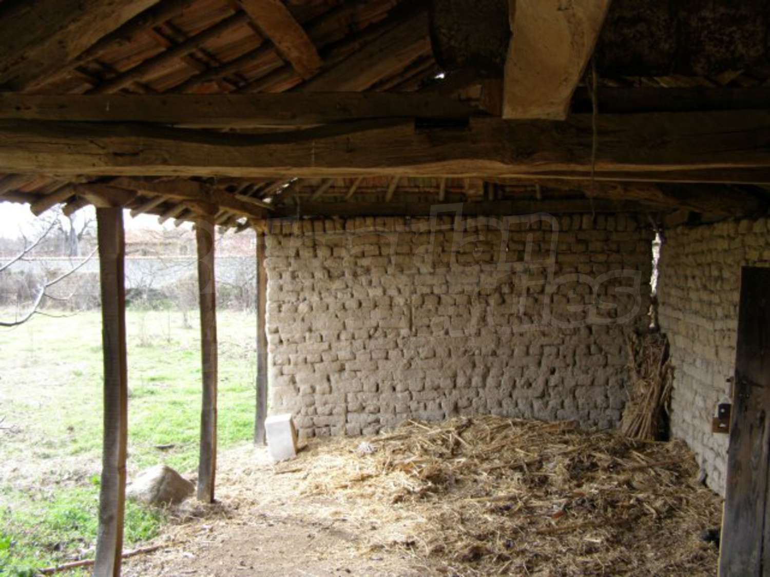 Gallery Picture 19