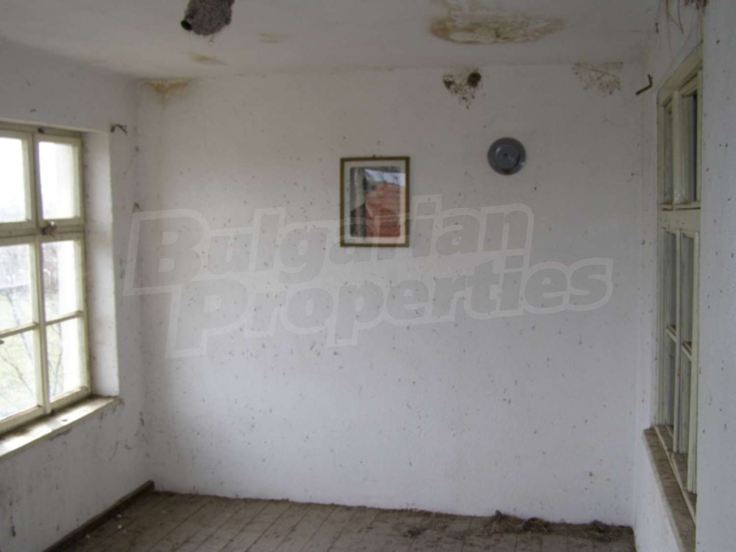 Gallery Picture 5