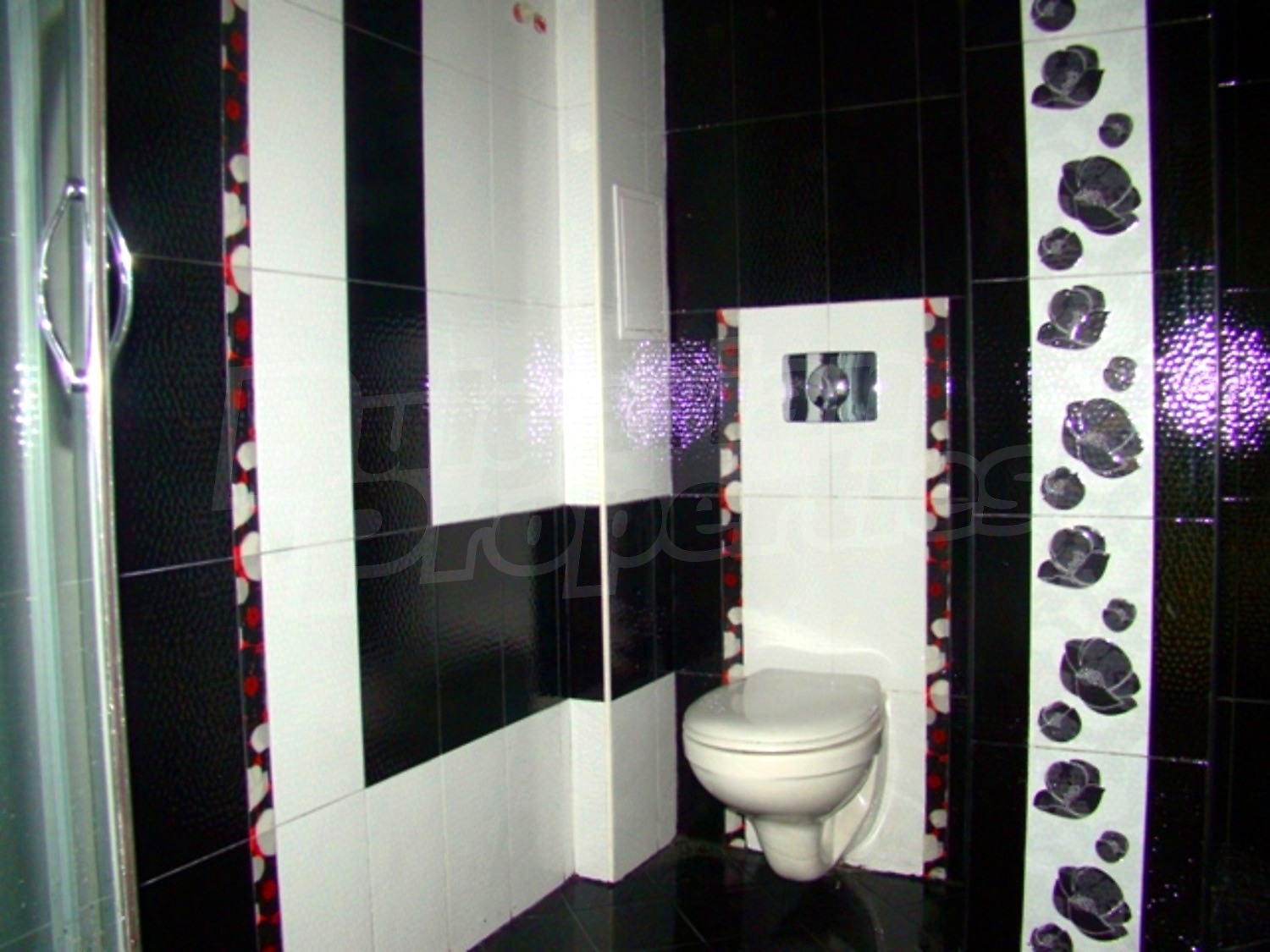 Gallery Picture 10