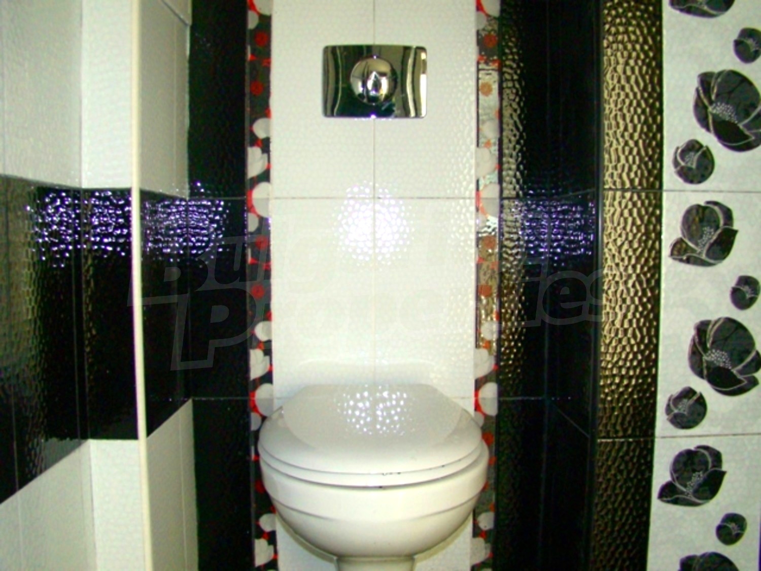 Gallery Picture 12