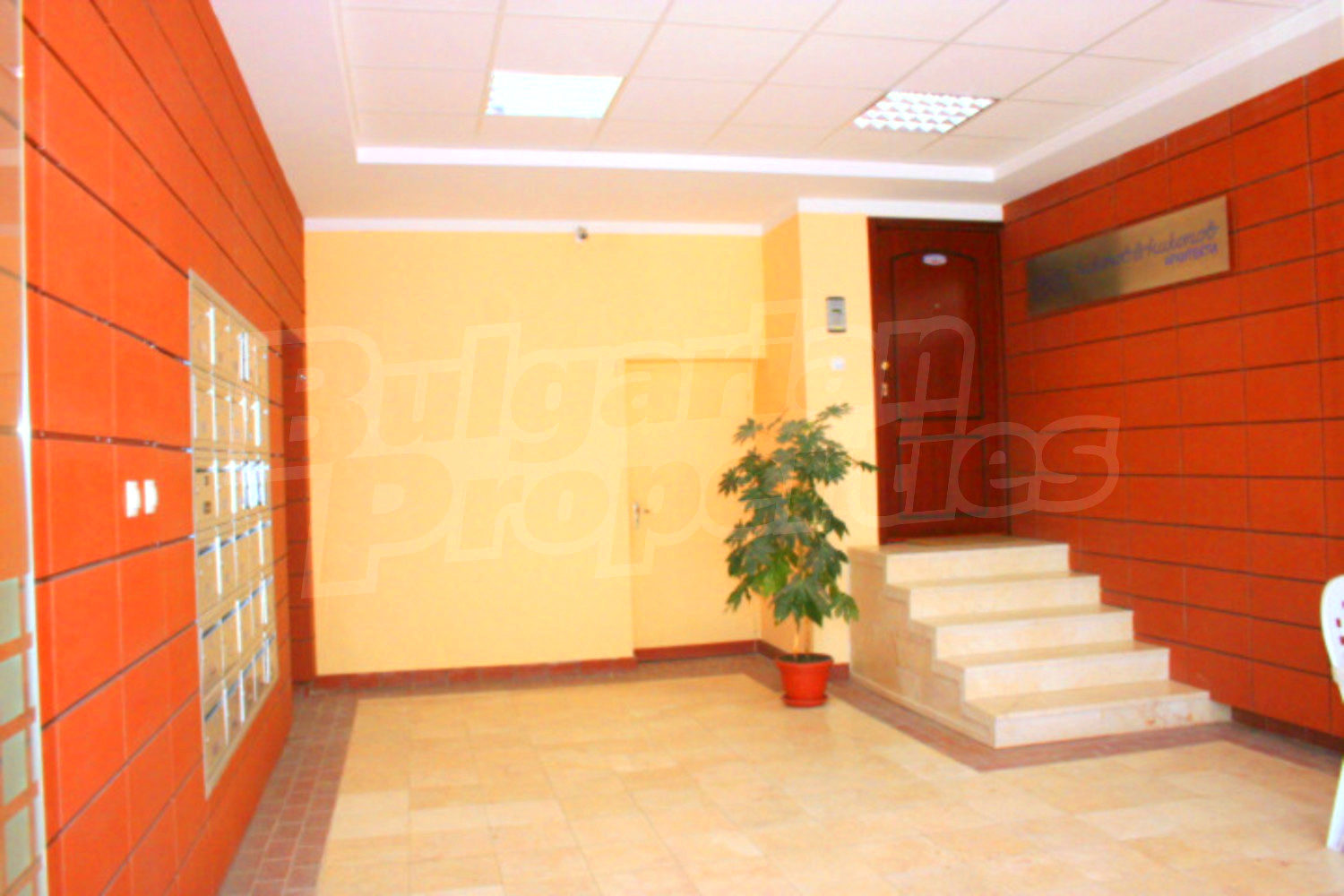 Gallery Picture 18