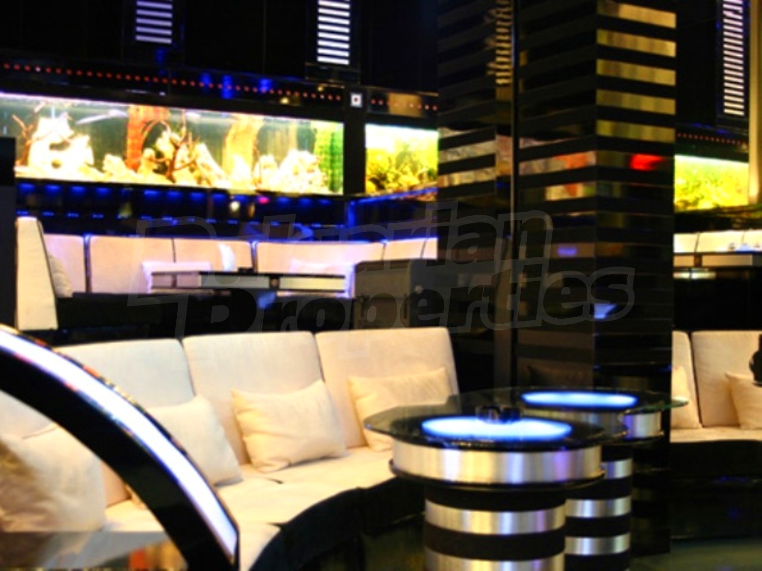 Gallery Picture 24
