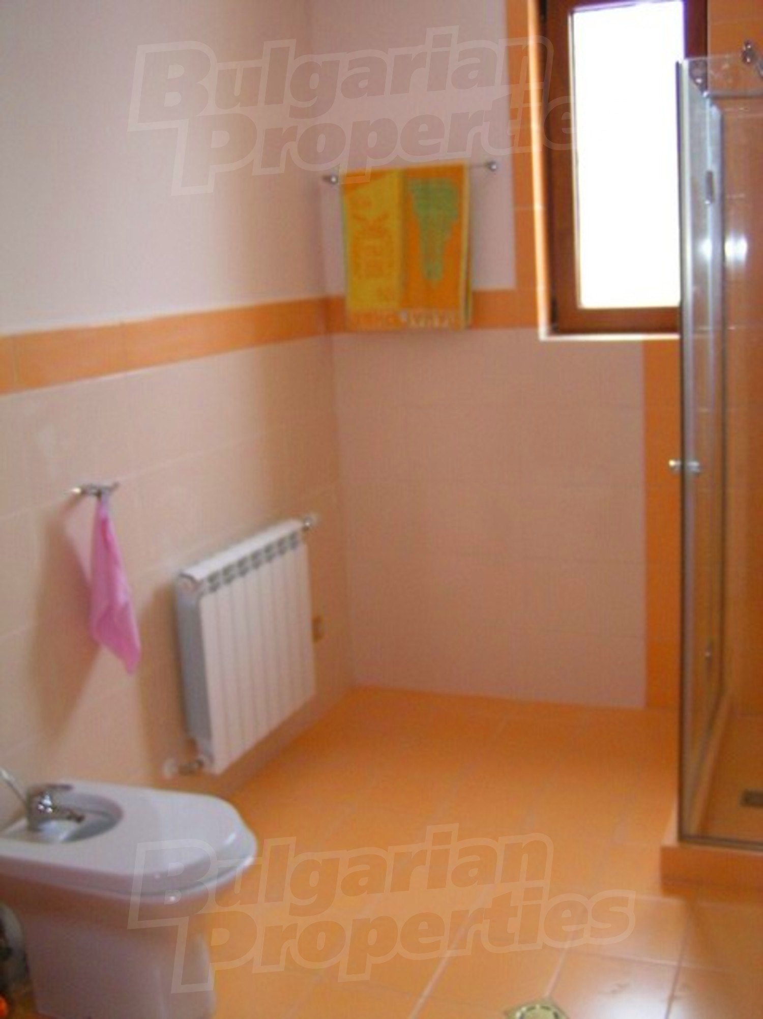 Gallery Picture 13