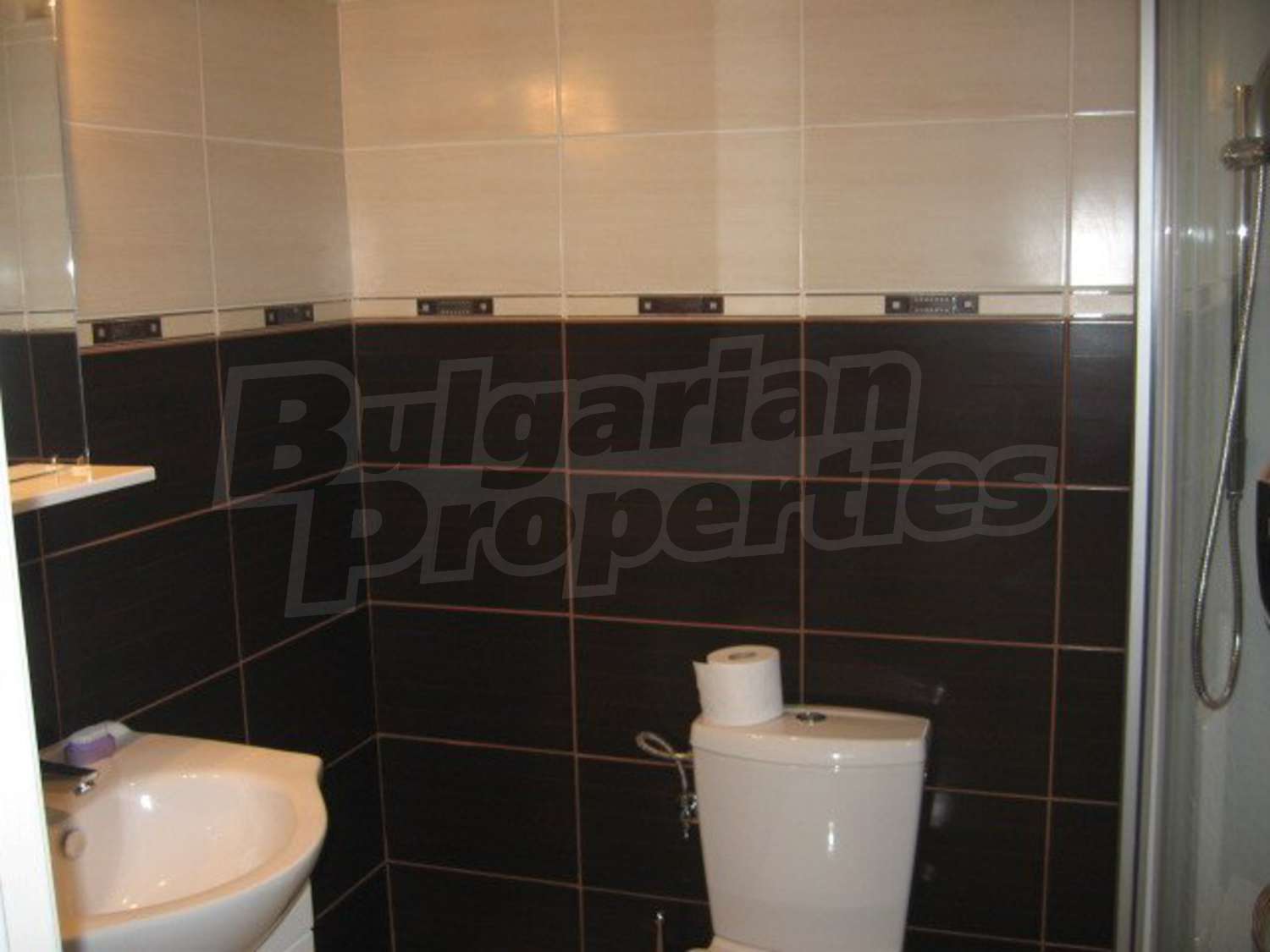 Gallery Picture 15