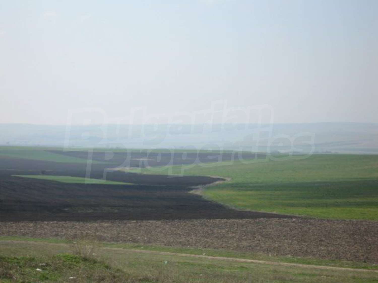 Gallery Picture 18