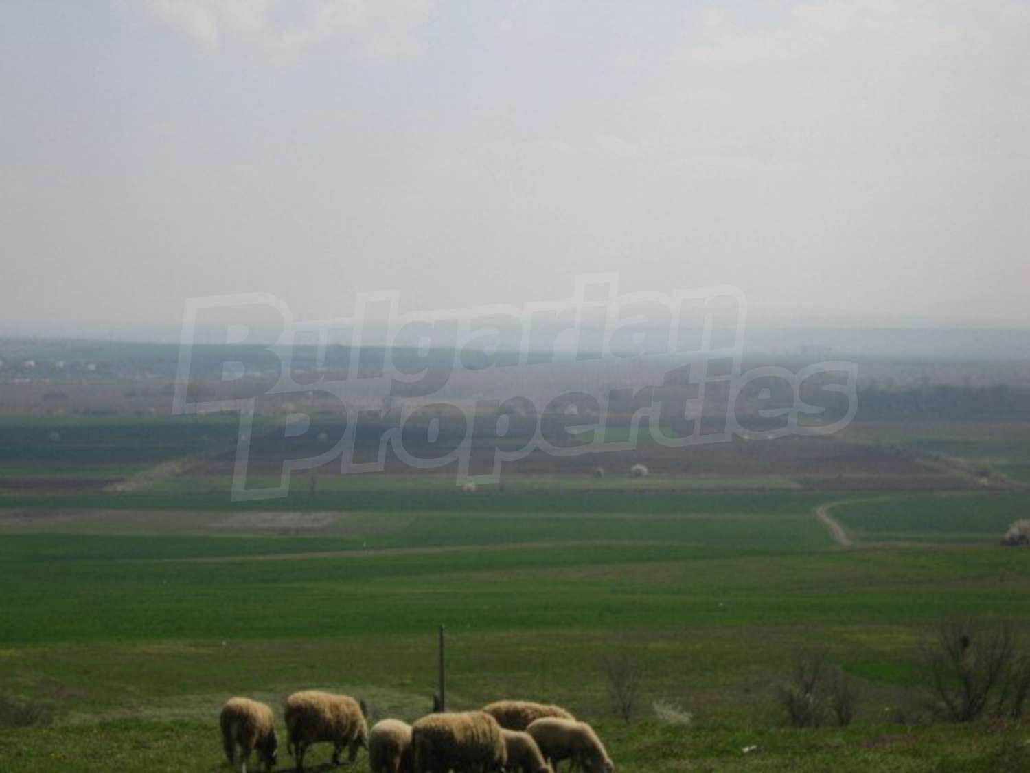 Gallery Picture 22