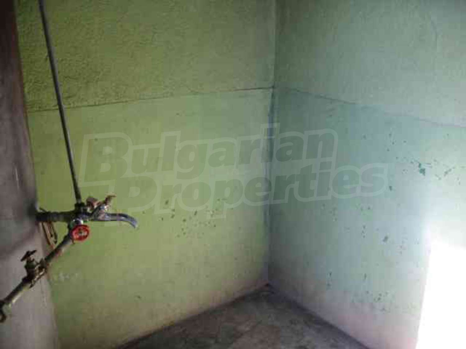 Gallery Picture 12