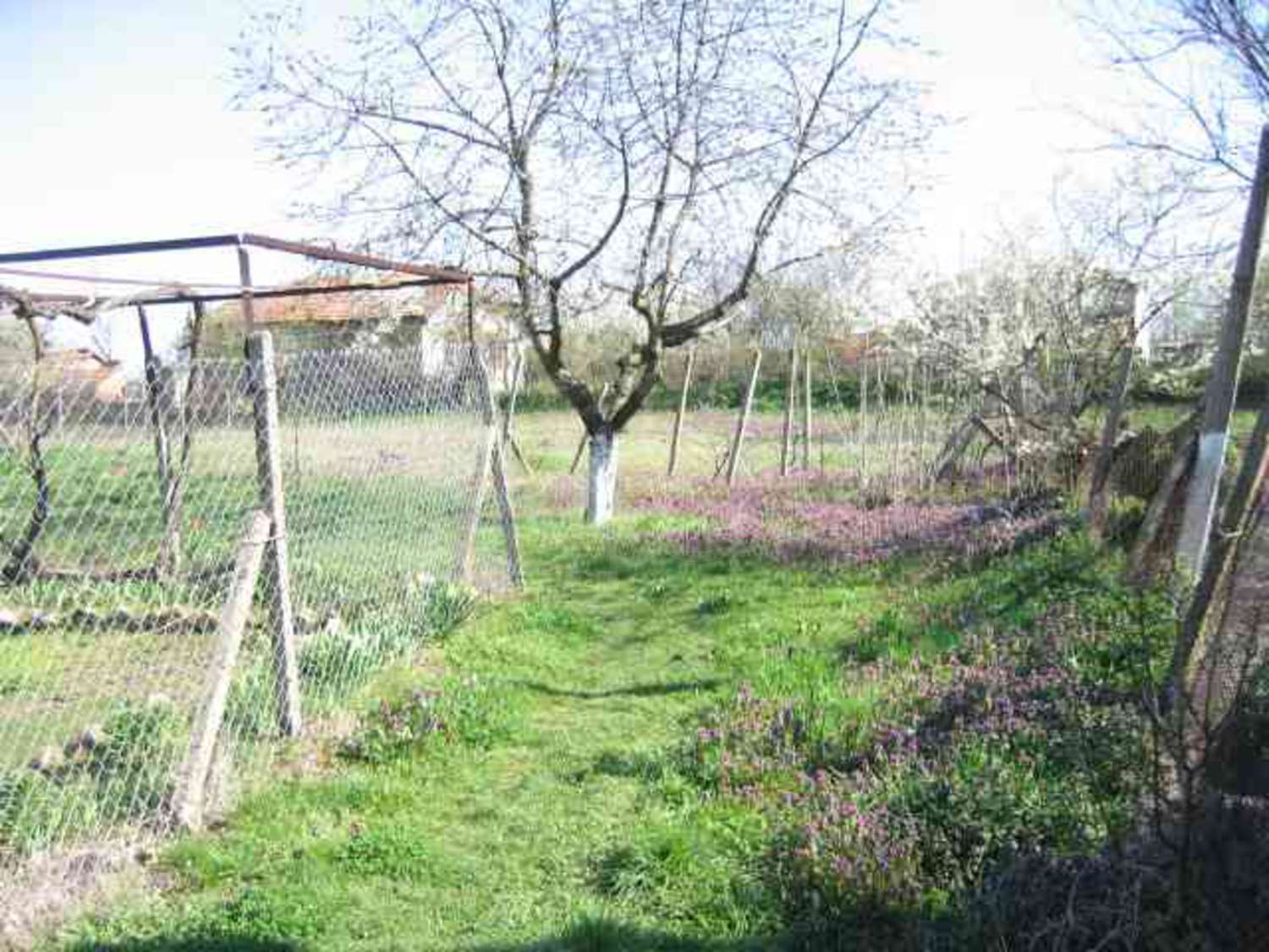 Gallery Picture 16
