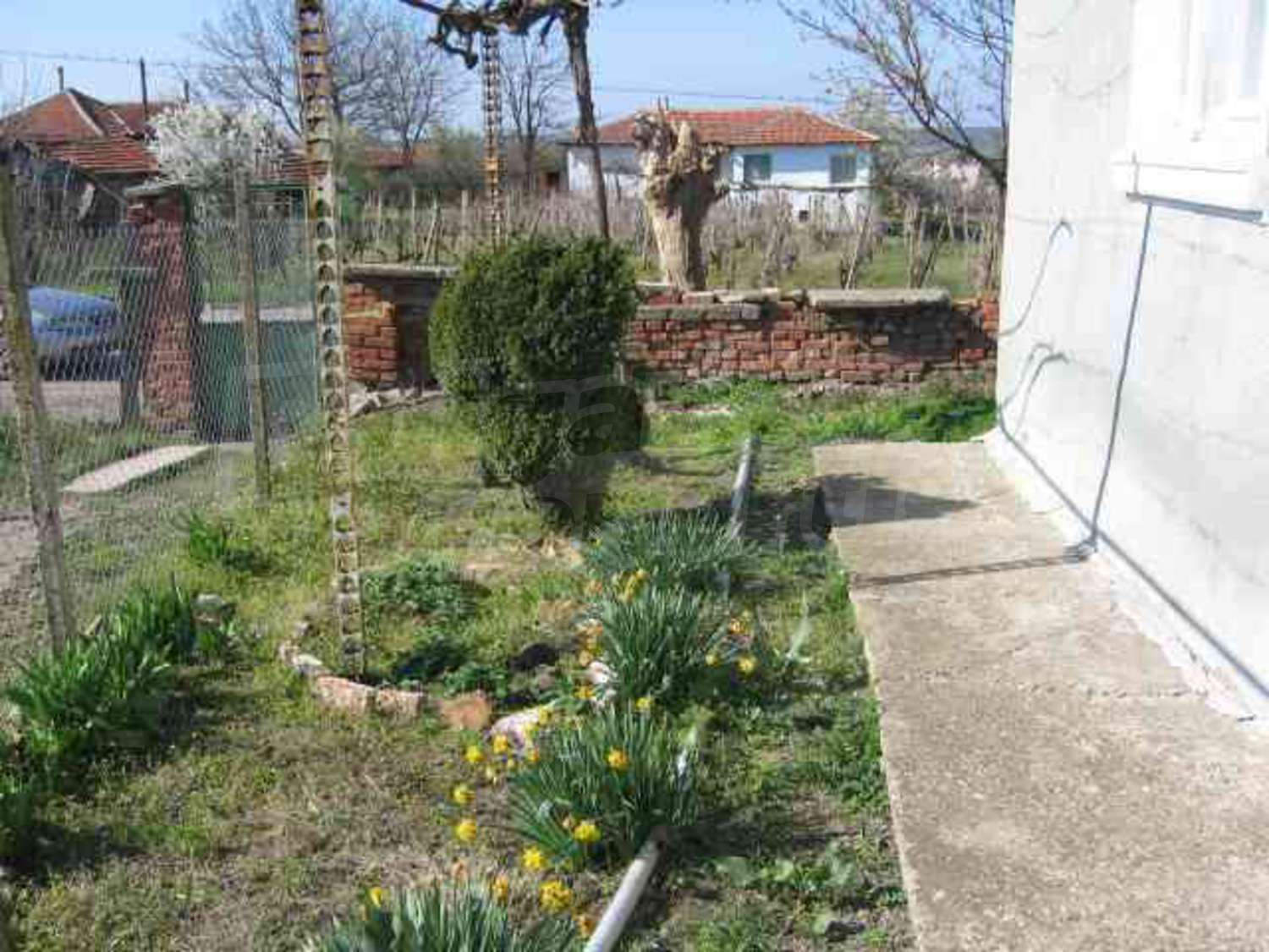 Gallery Picture 17