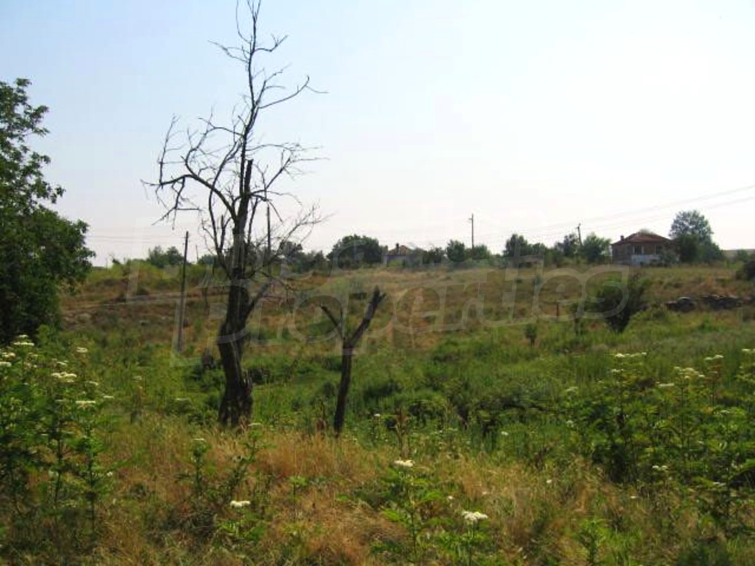 Gallery Picture 10