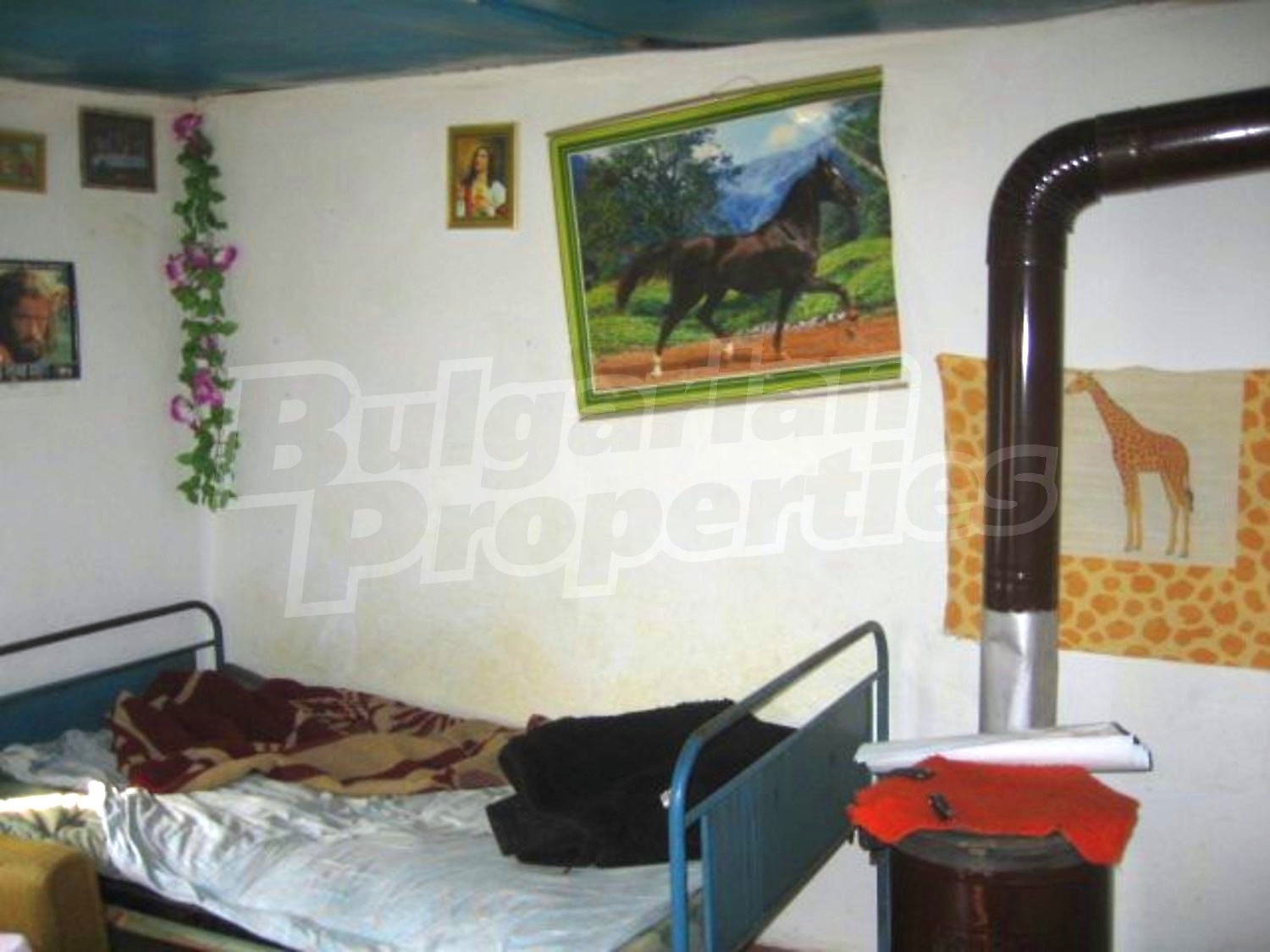 Gallery Picture 5