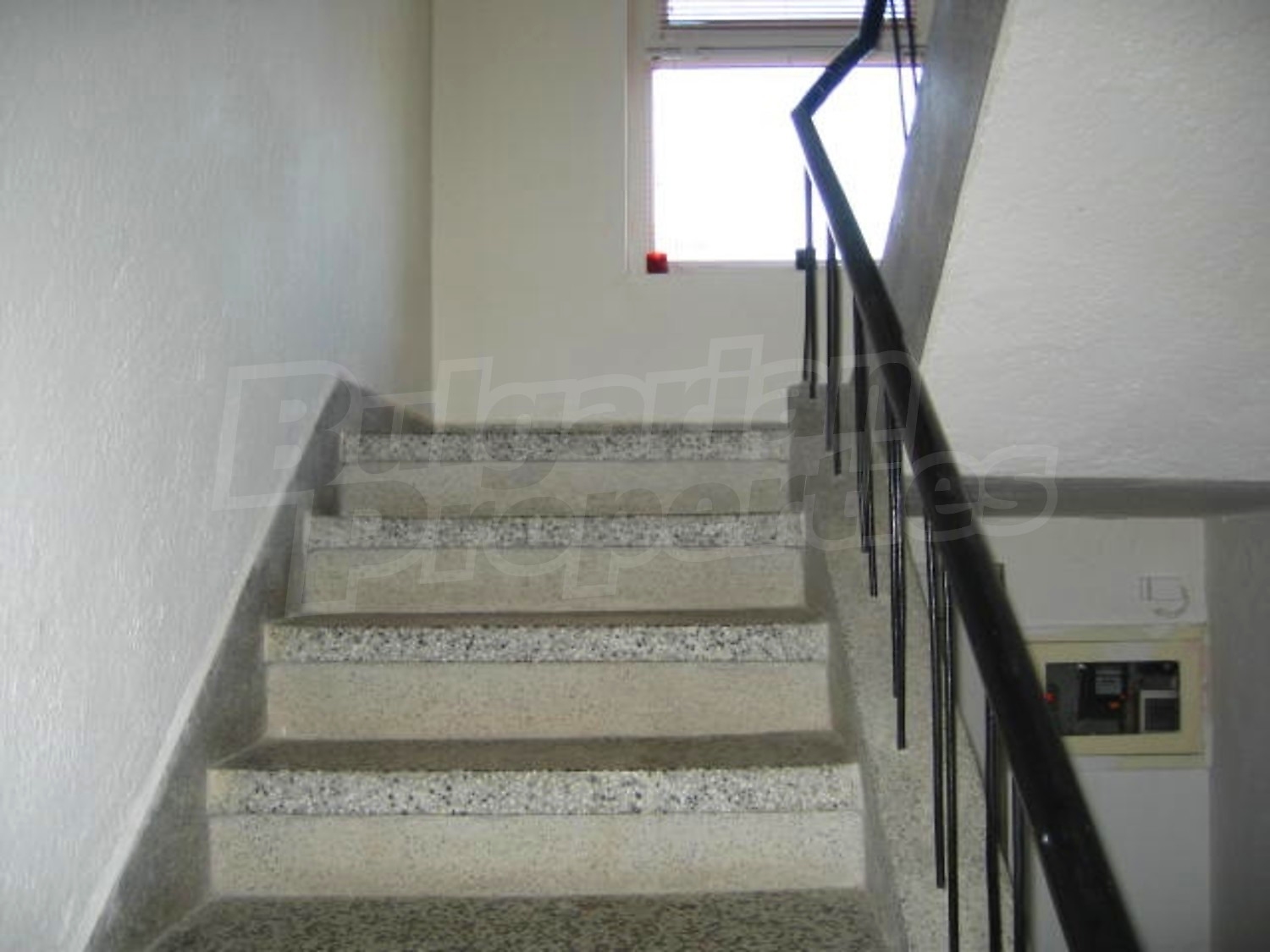 Gallery Picture 15
