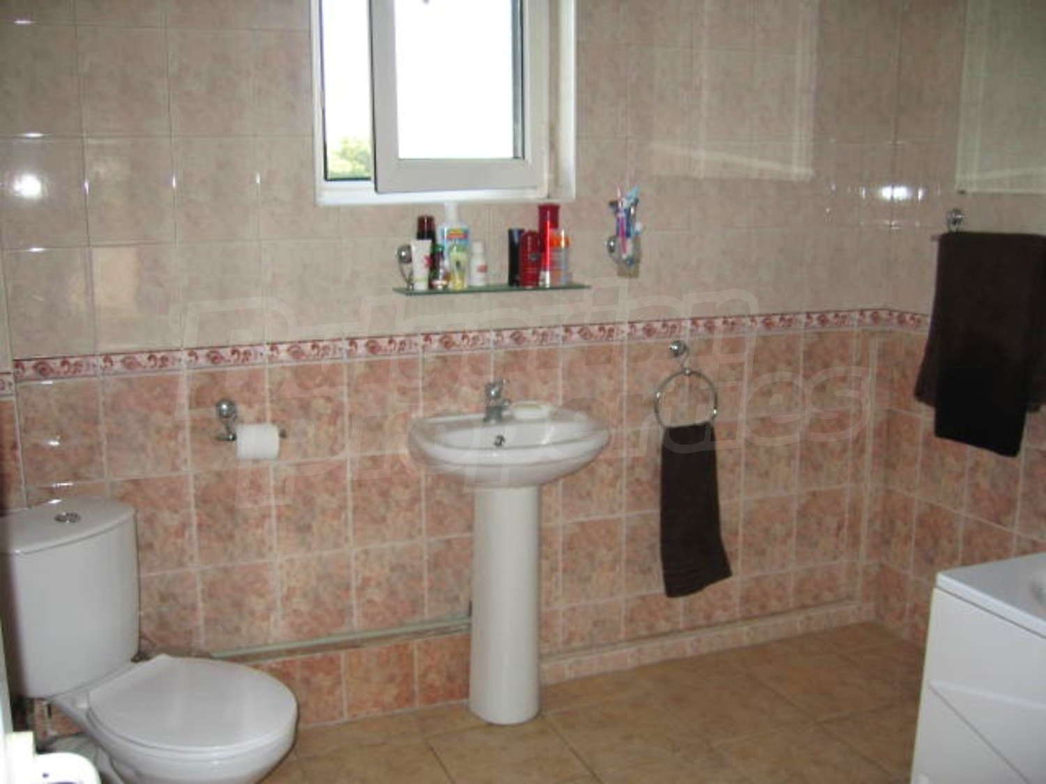 Gallery Picture 20