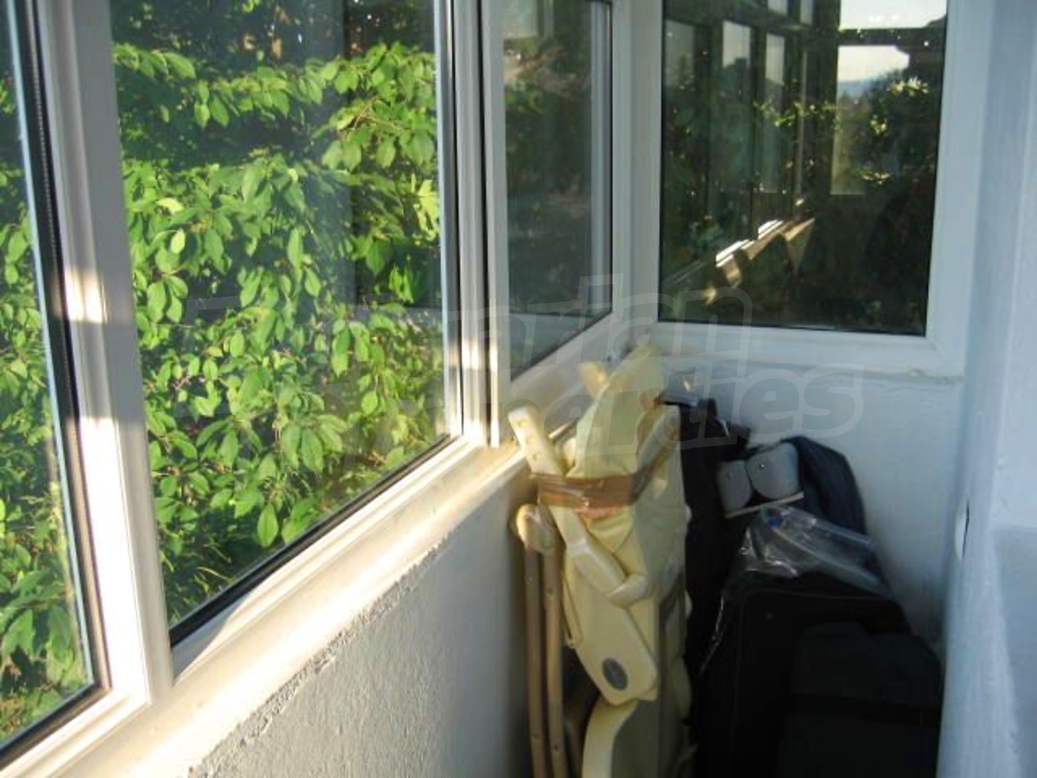 Gallery Picture 26