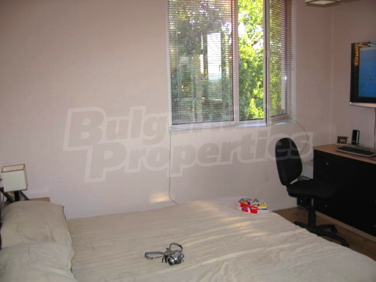 Gallery Picture 28