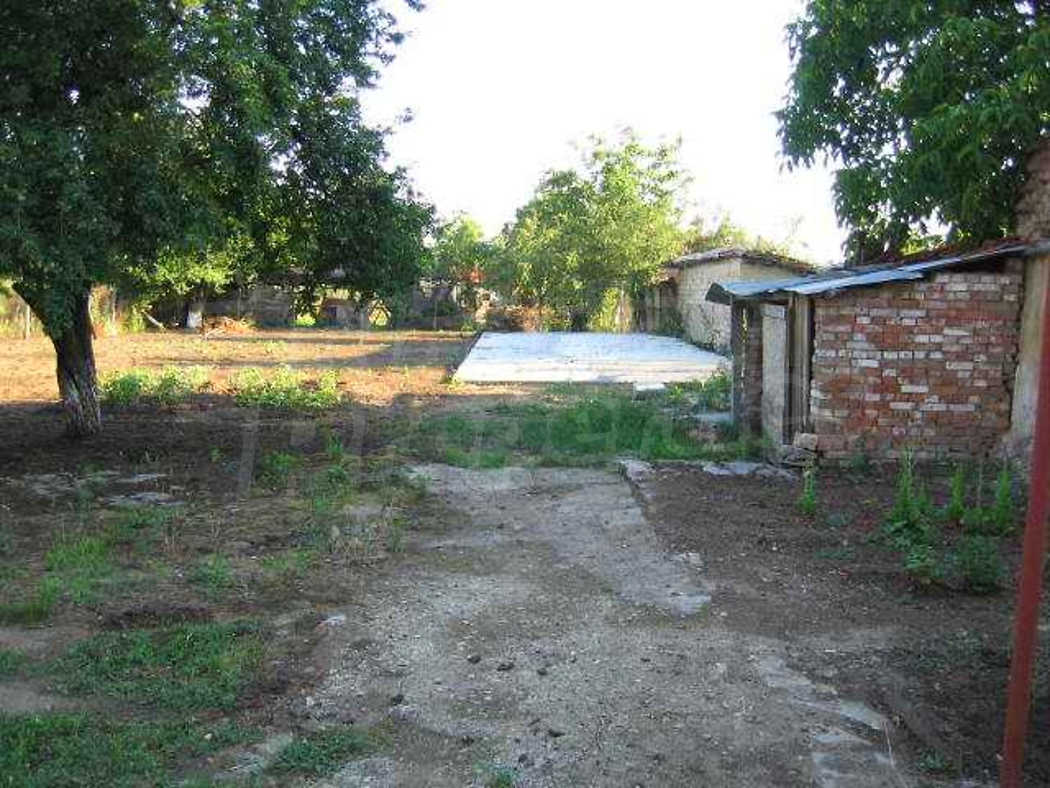 Gallery Picture 38