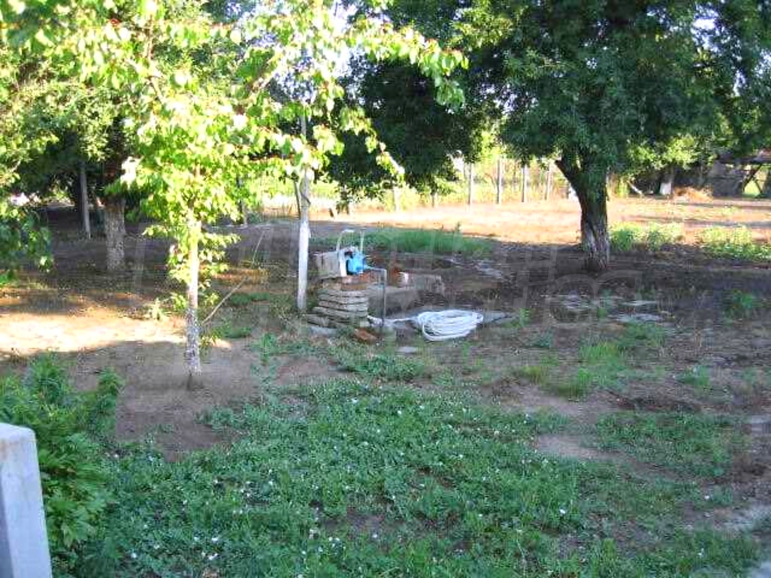 Gallery Picture 40