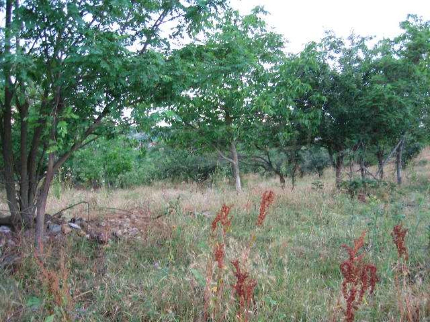 Gallery Picture 2