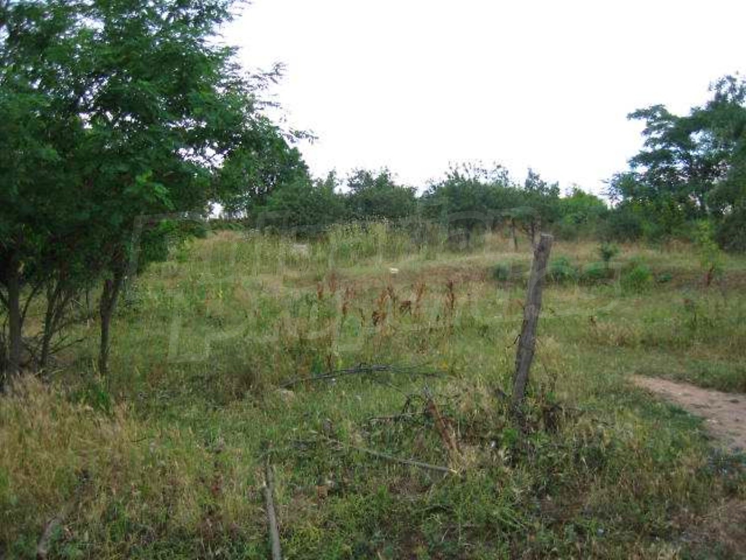 Gallery Picture 4