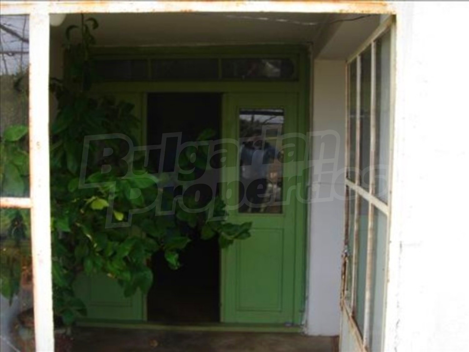 Gallery Picture 4