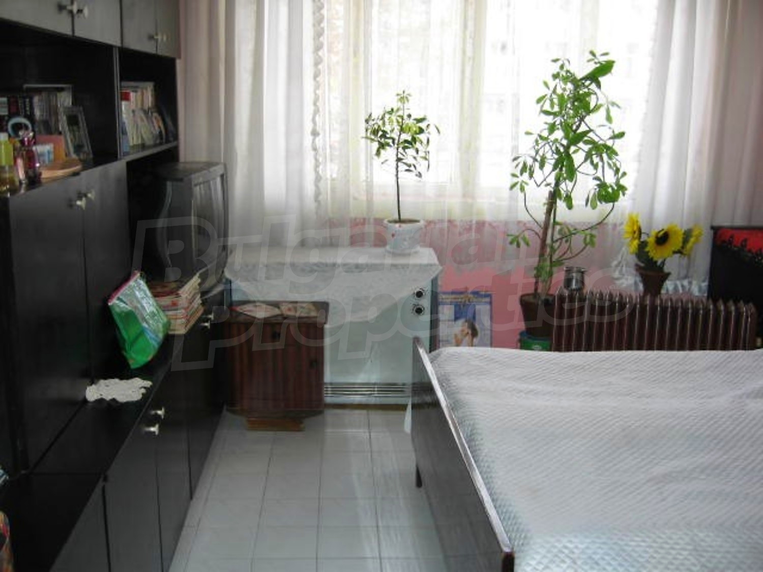 Gallery Picture 13