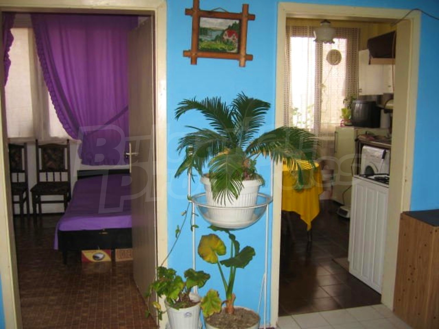 Gallery Picture 14