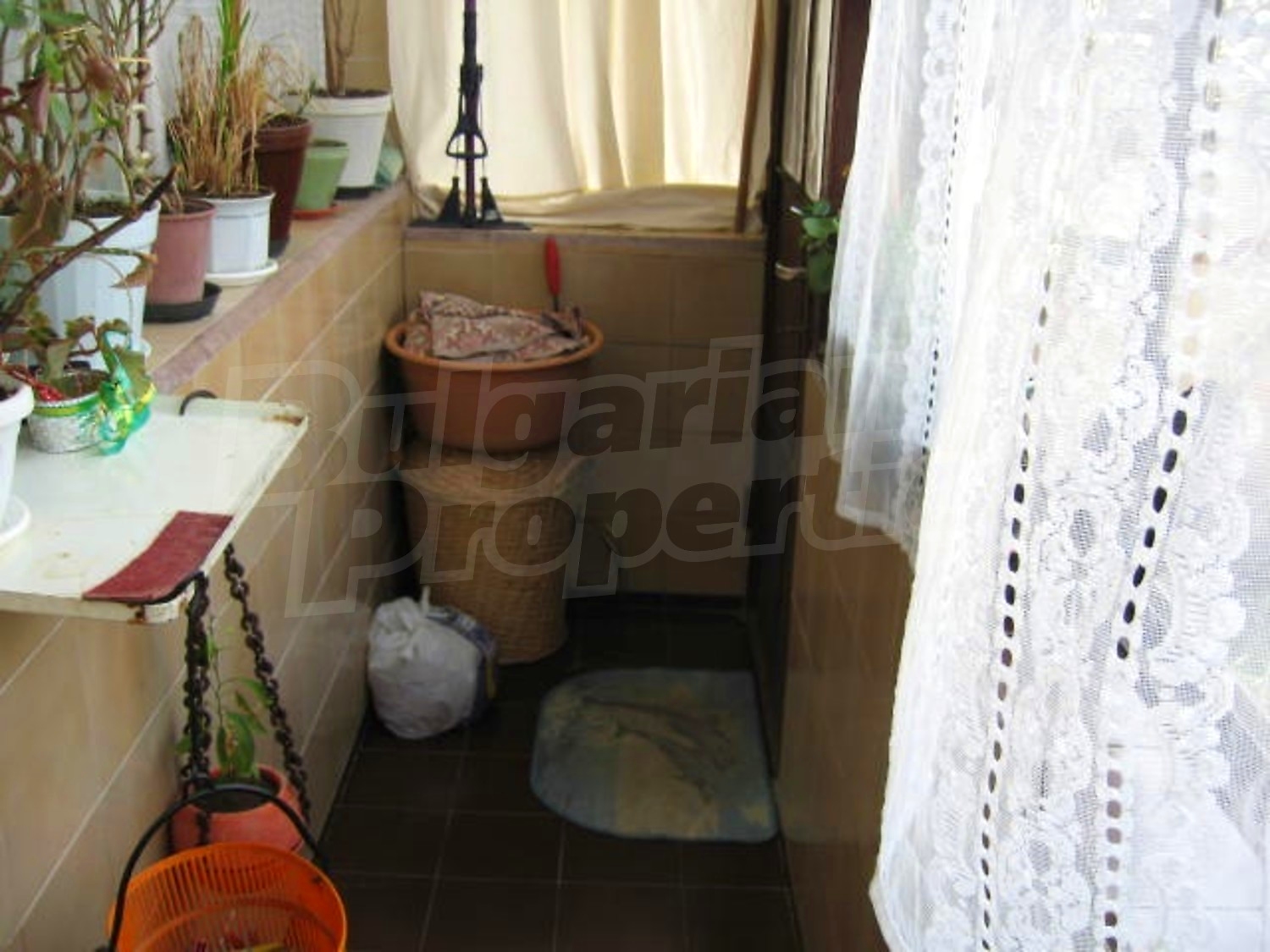 Gallery Picture 17