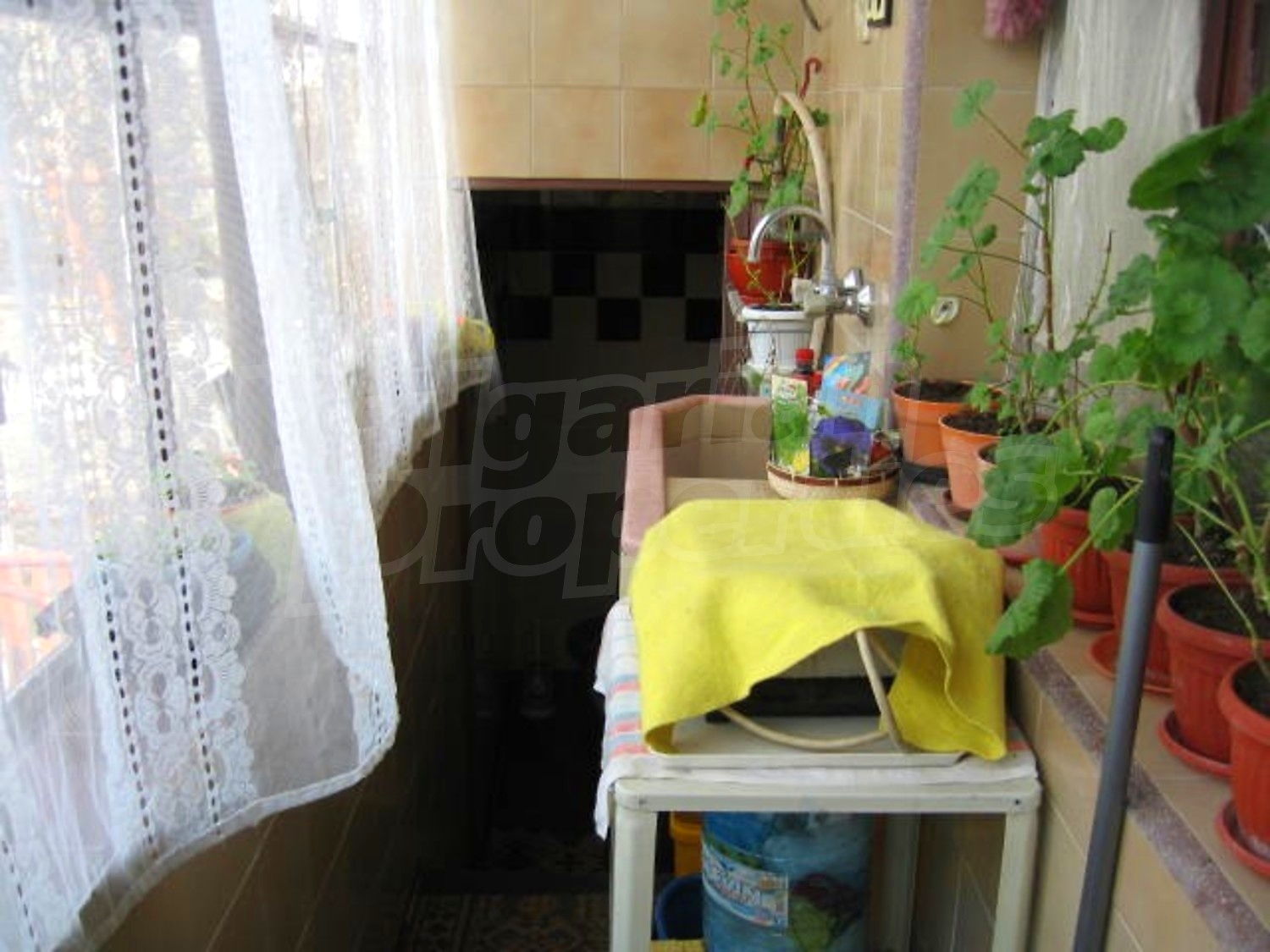 Gallery Picture 18