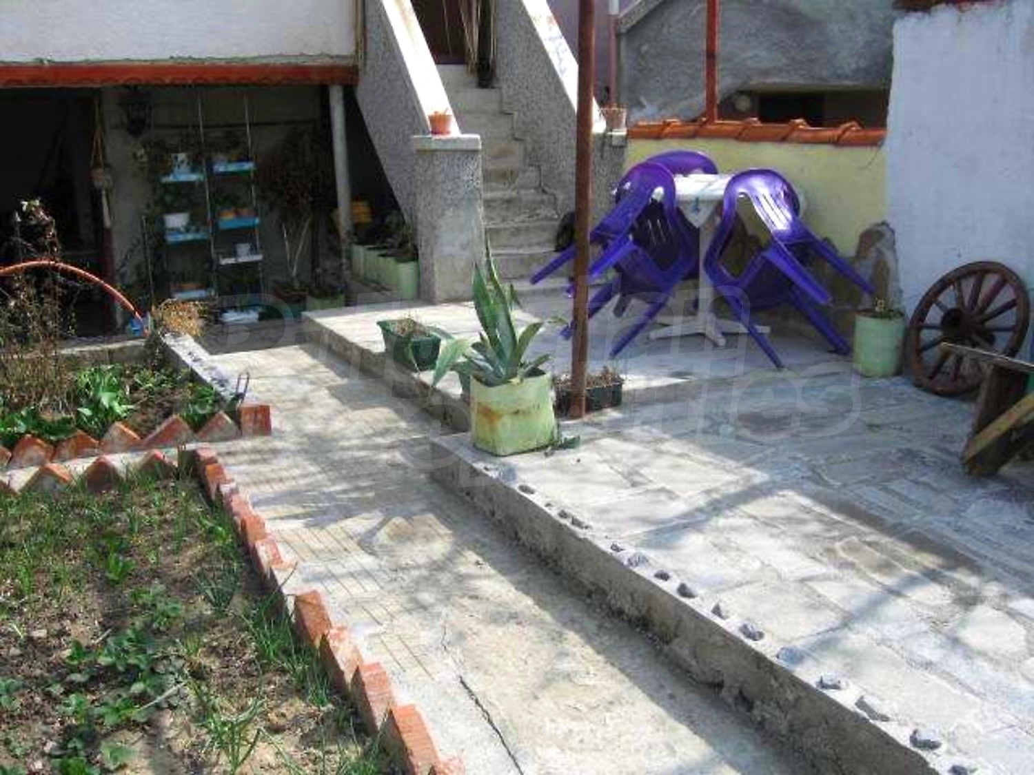 Gallery Picture 25