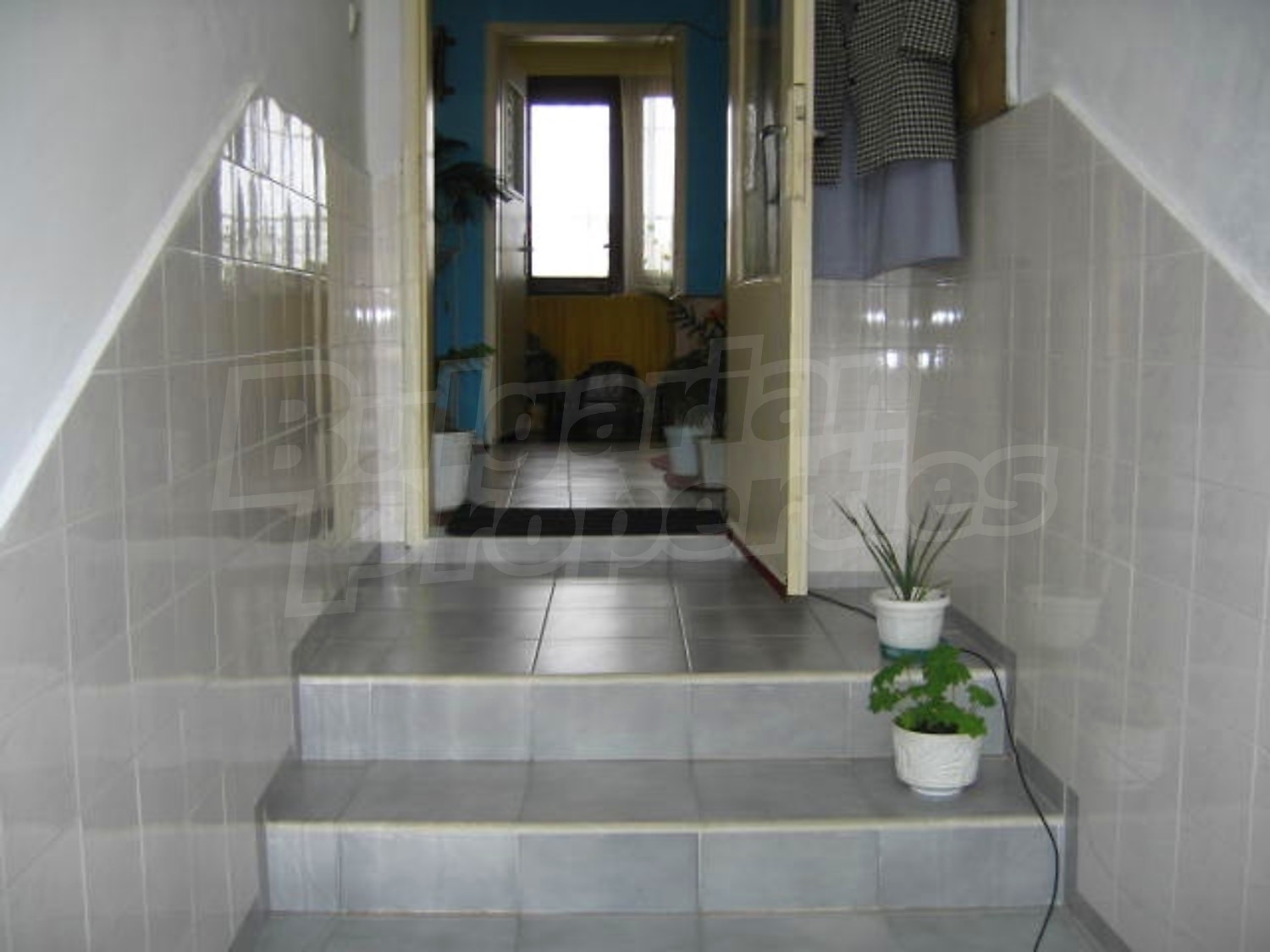 Gallery Picture 3