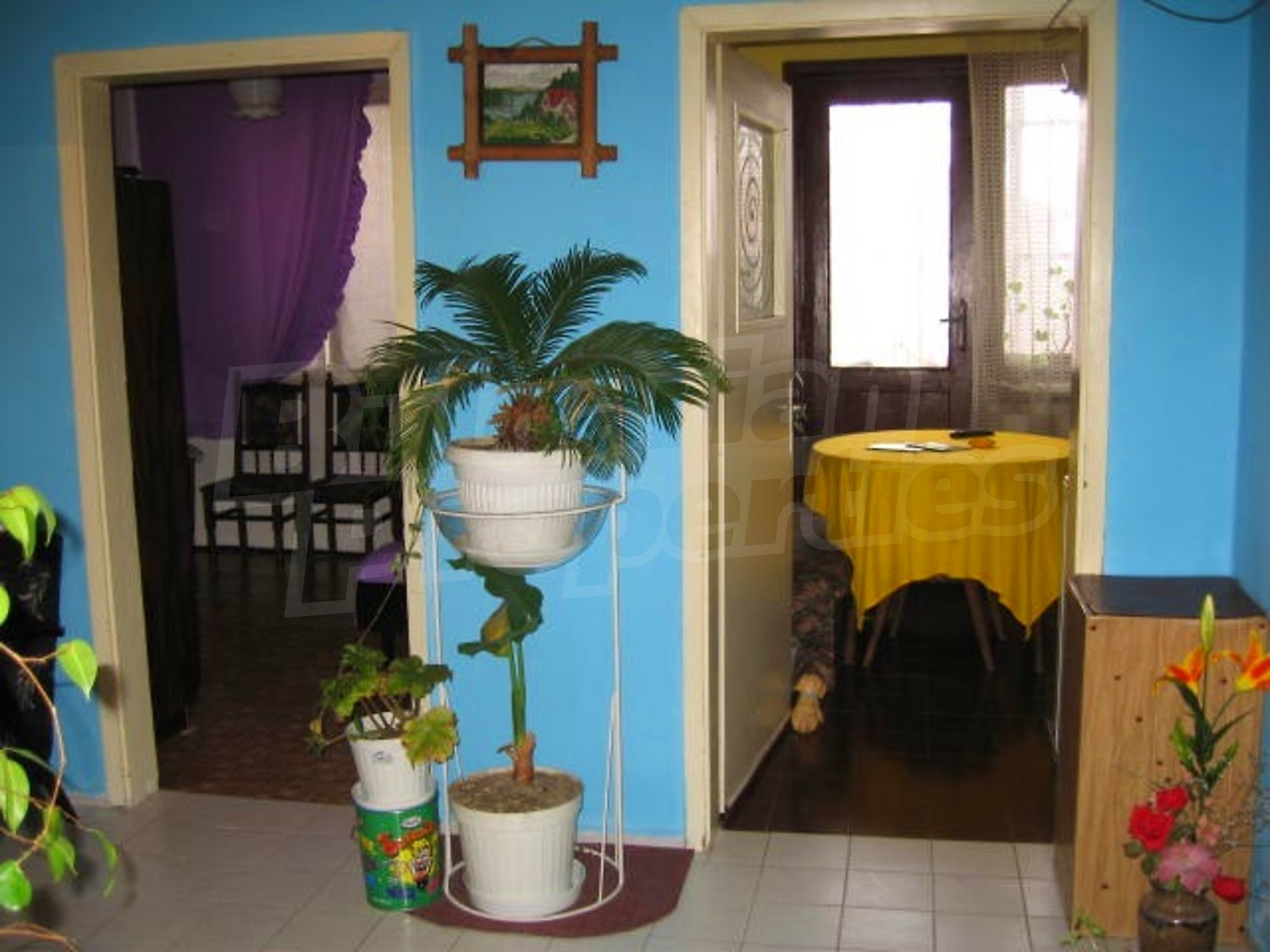 Gallery Picture 4
