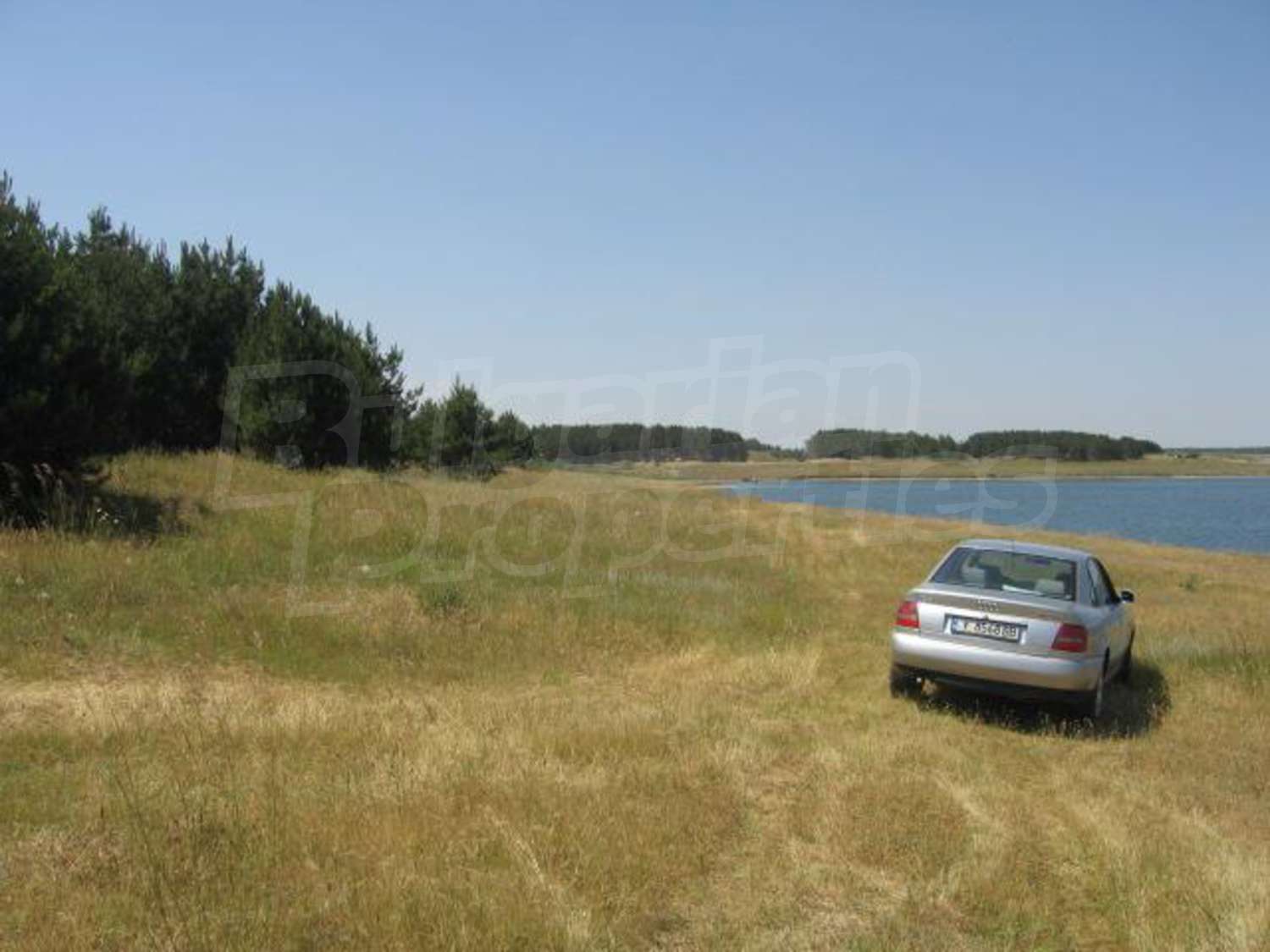 Gallery Picture 6