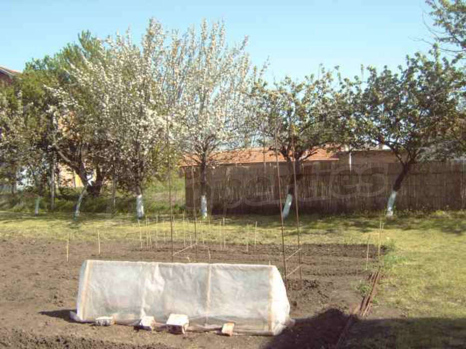 Gallery Picture 14