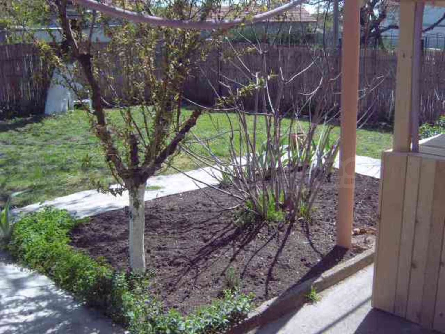Gallery Picture 15