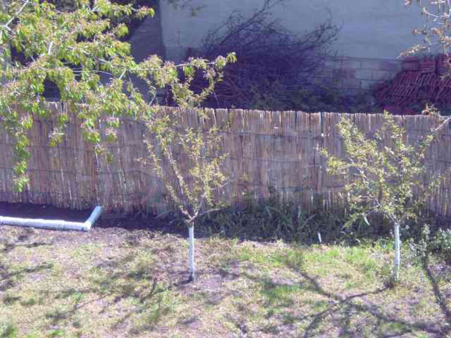 Gallery Picture 17