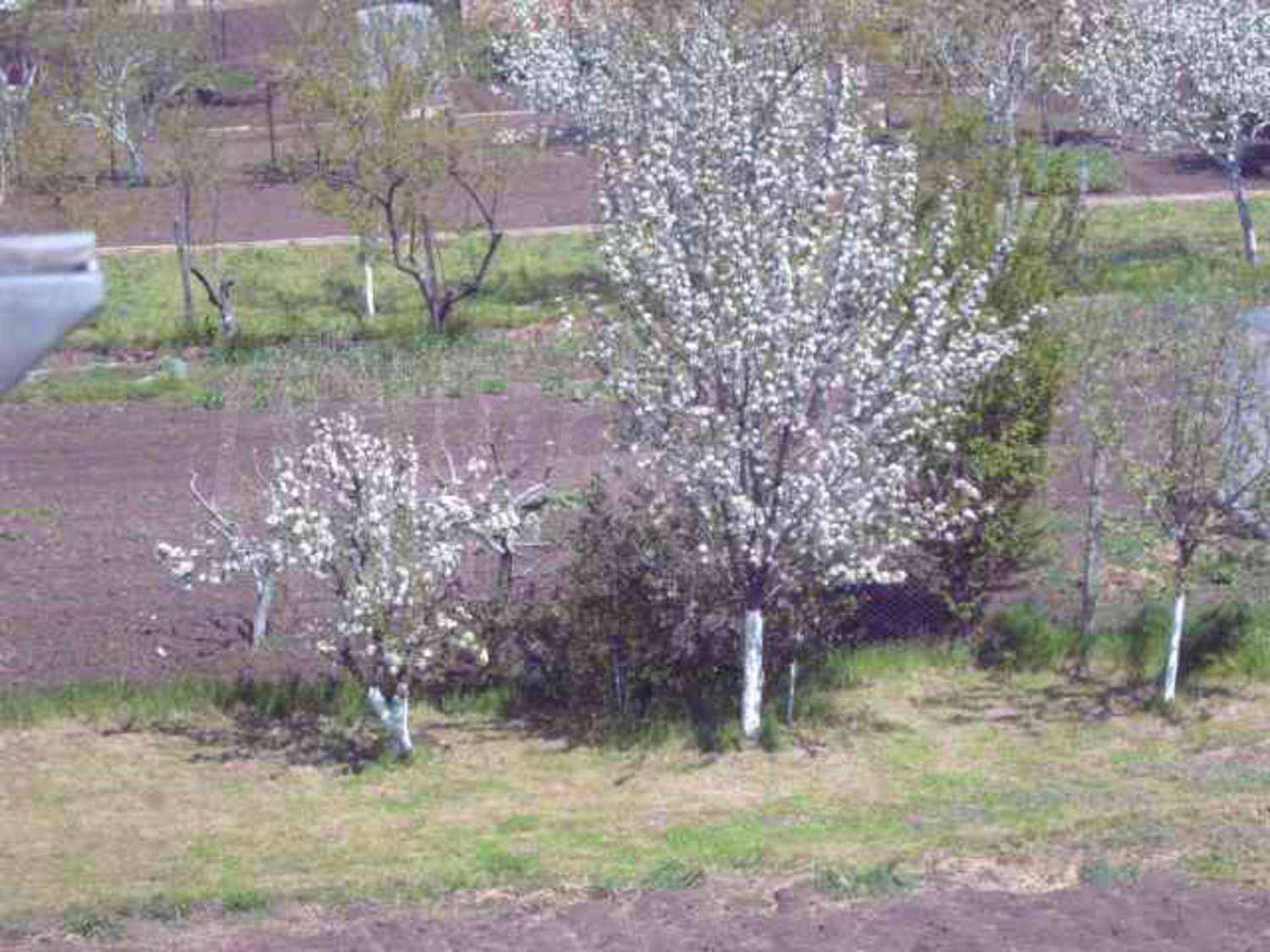 Gallery Picture 18