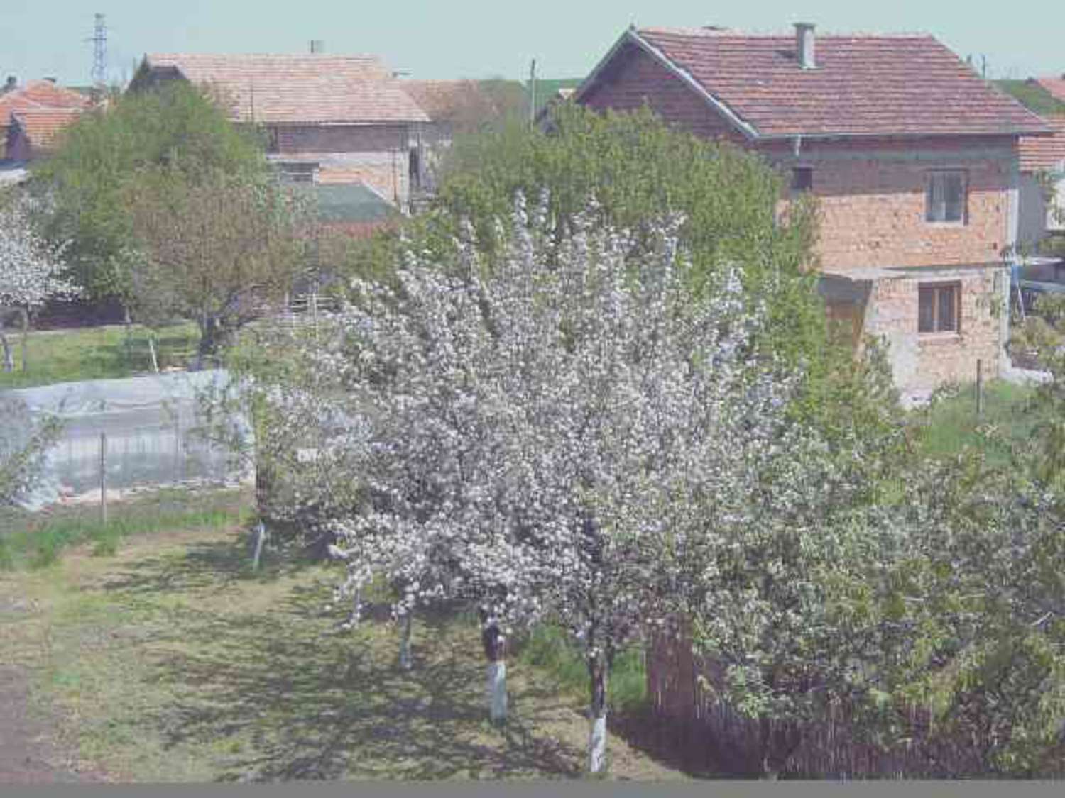Gallery Picture 19