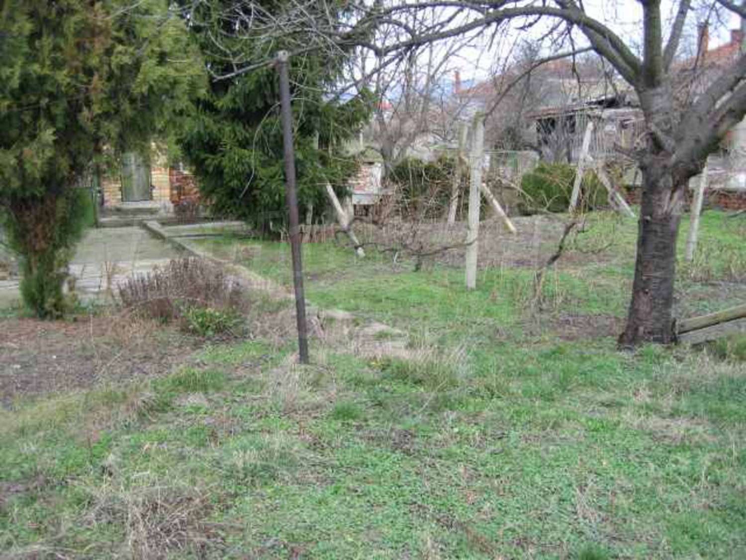Gallery Picture 9