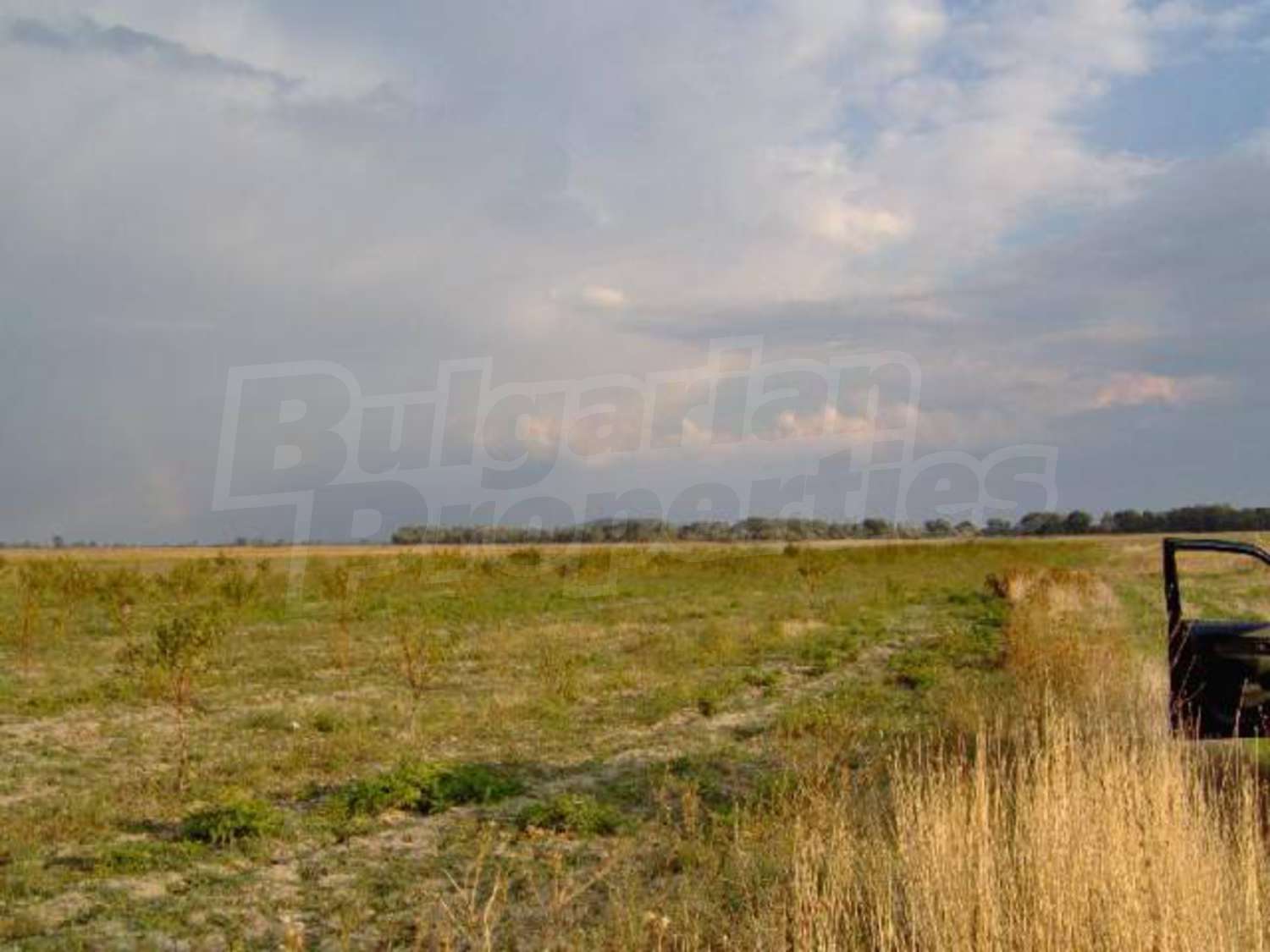 Gallery Picture 10