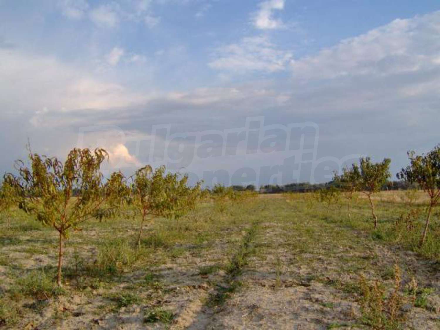 Gallery Picture 12