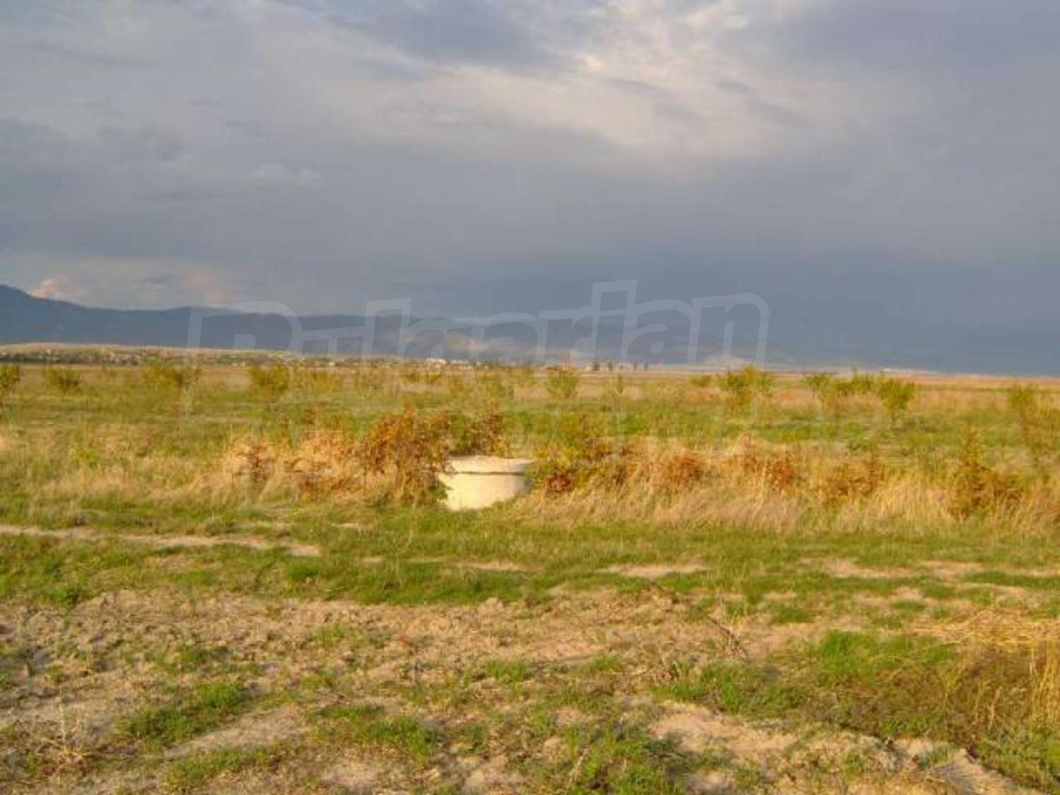 Gallery Picture 9