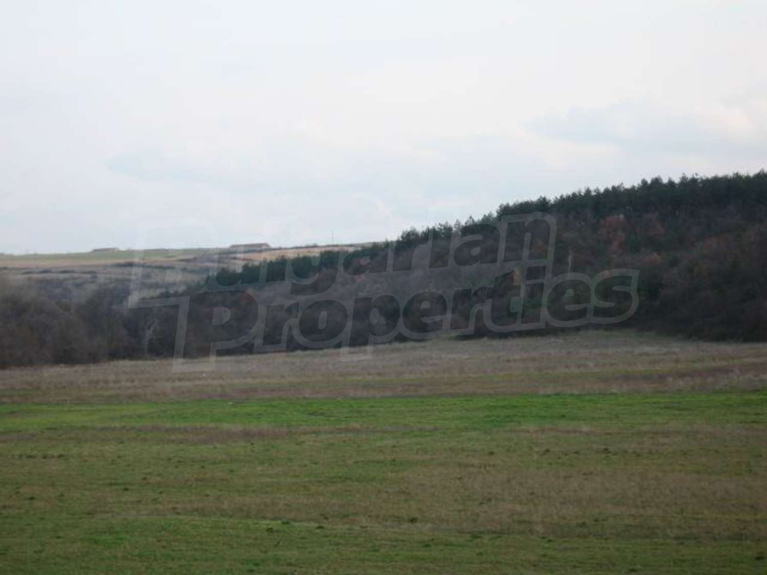 Gallery Picture 10