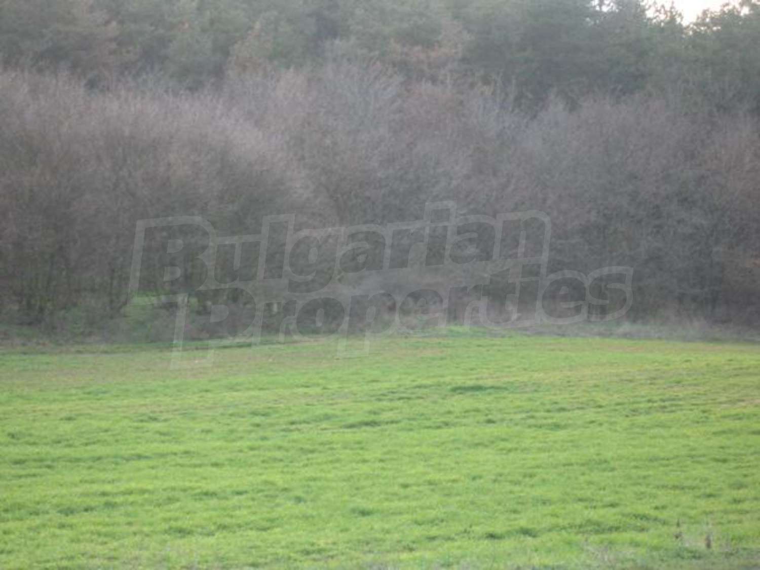 Gallery Picture 8
