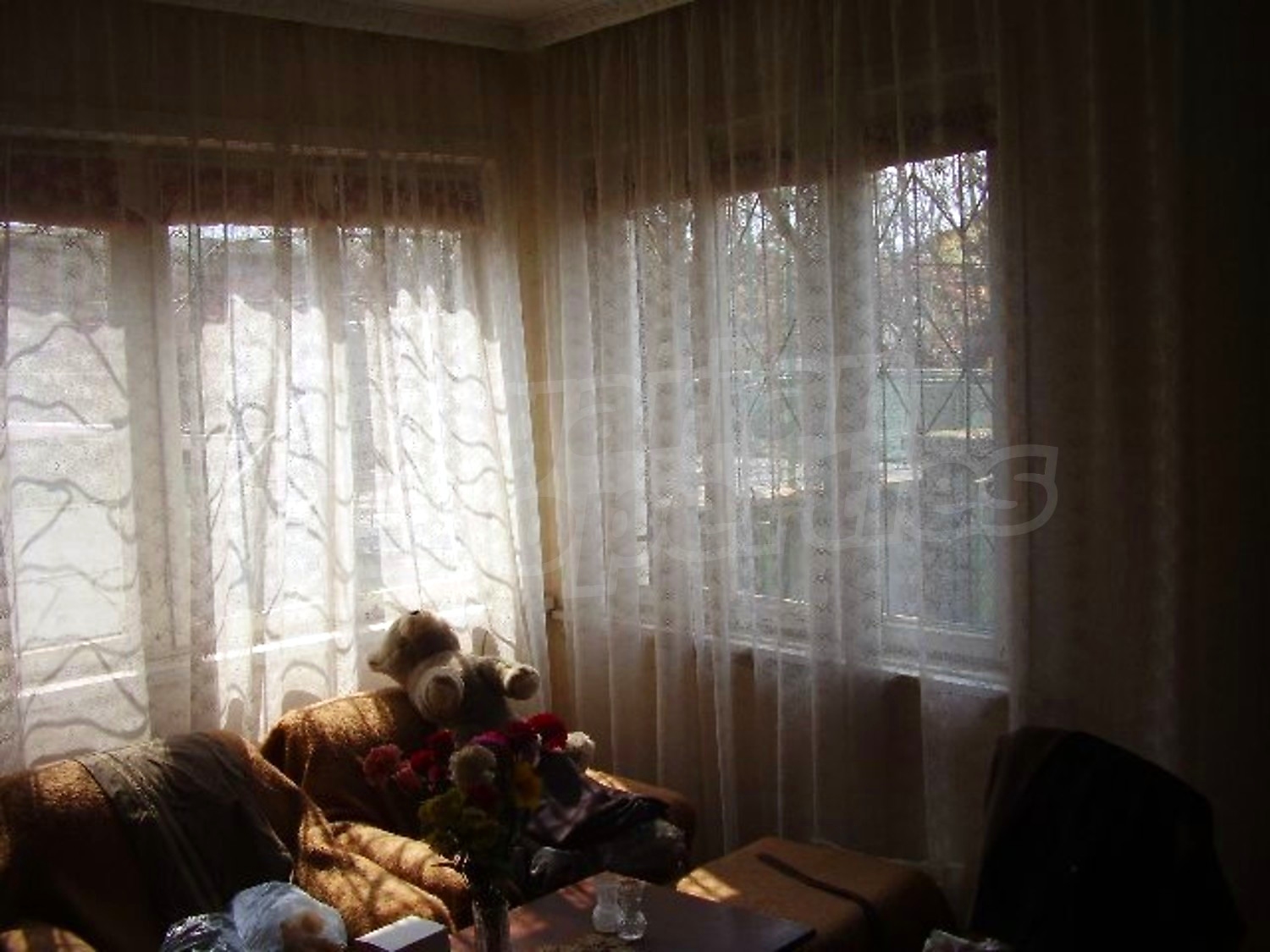 Gallery Picture 8
