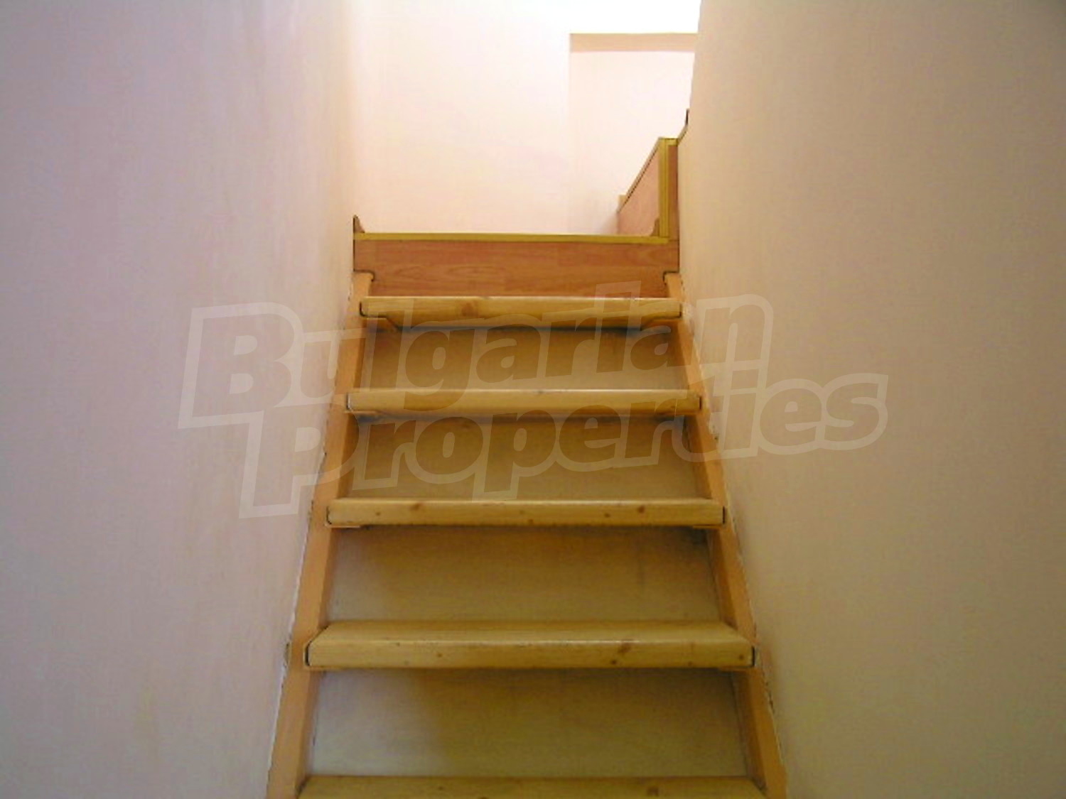 Gallery Picture 10