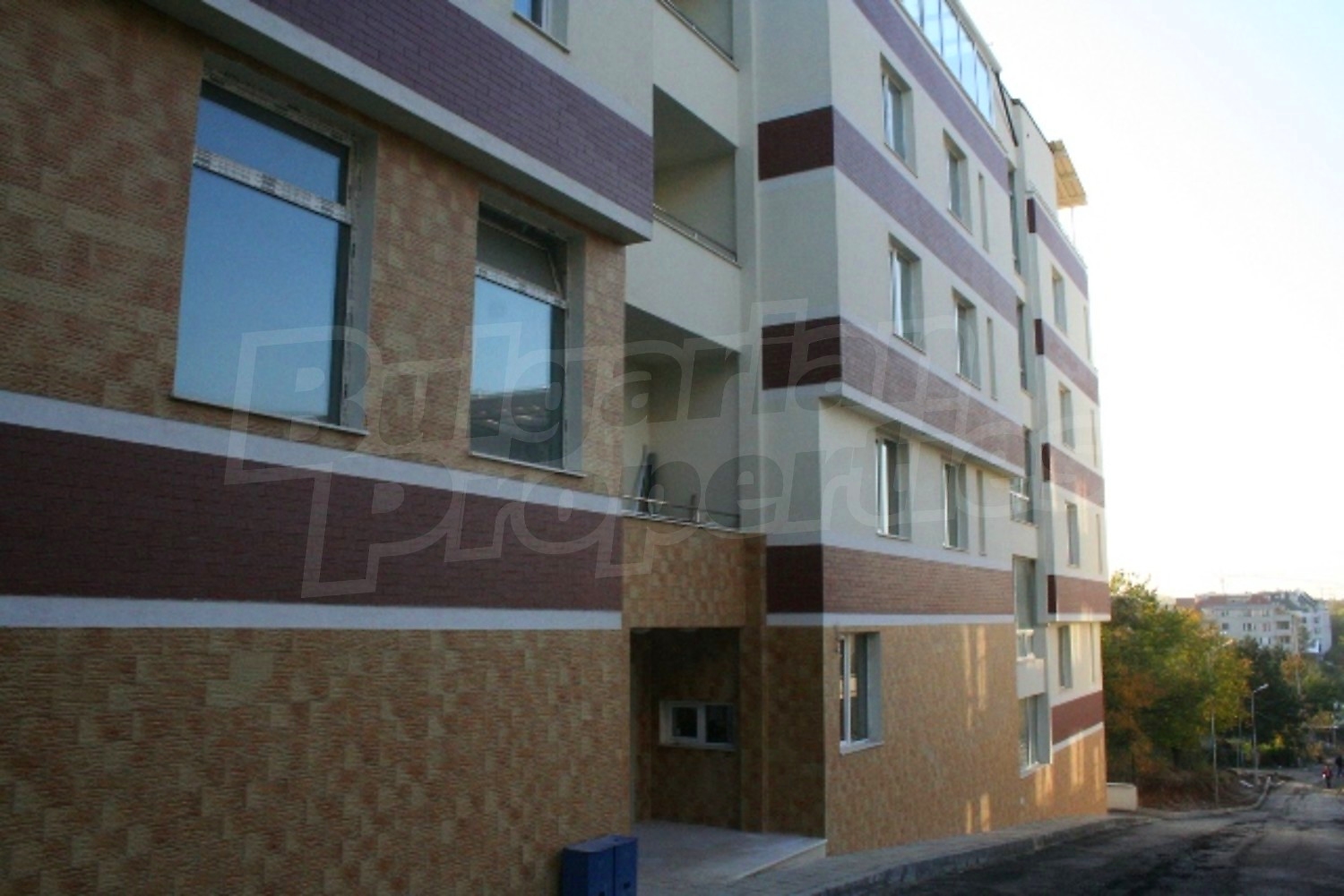 Gallery Picture 11