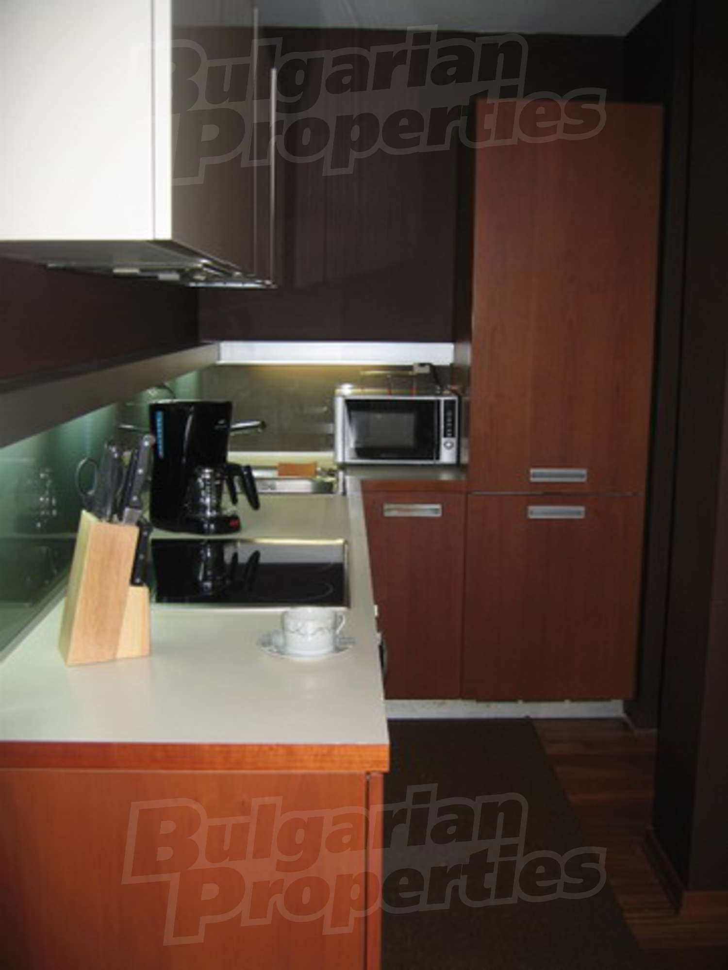 Gallery Picture 5