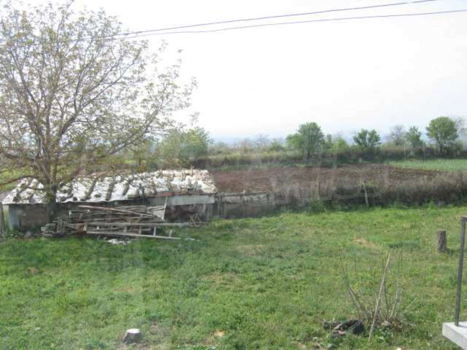 Gallery Picture 17
