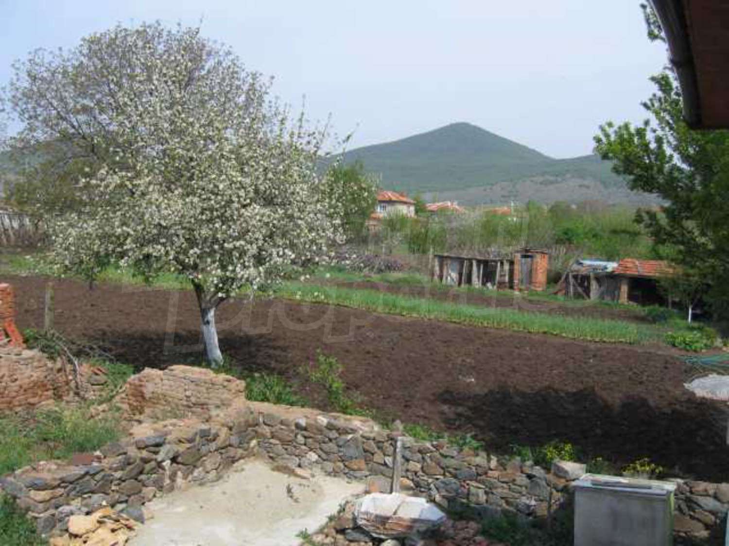 Gallery Picture 18